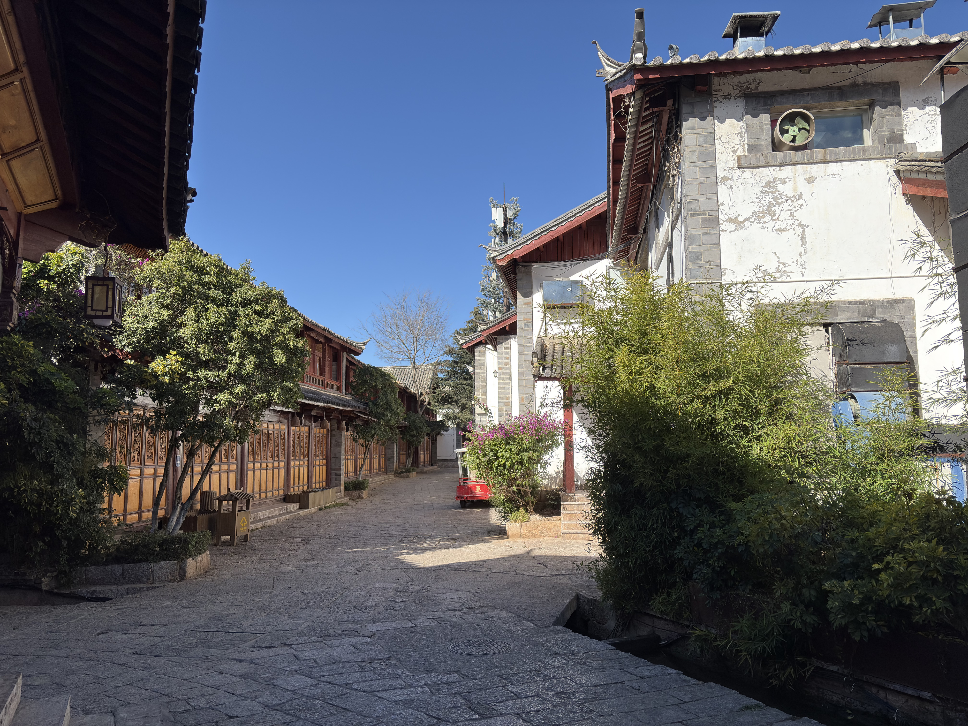 Picture China Lijiang 2026-01 236 - History Lijiang