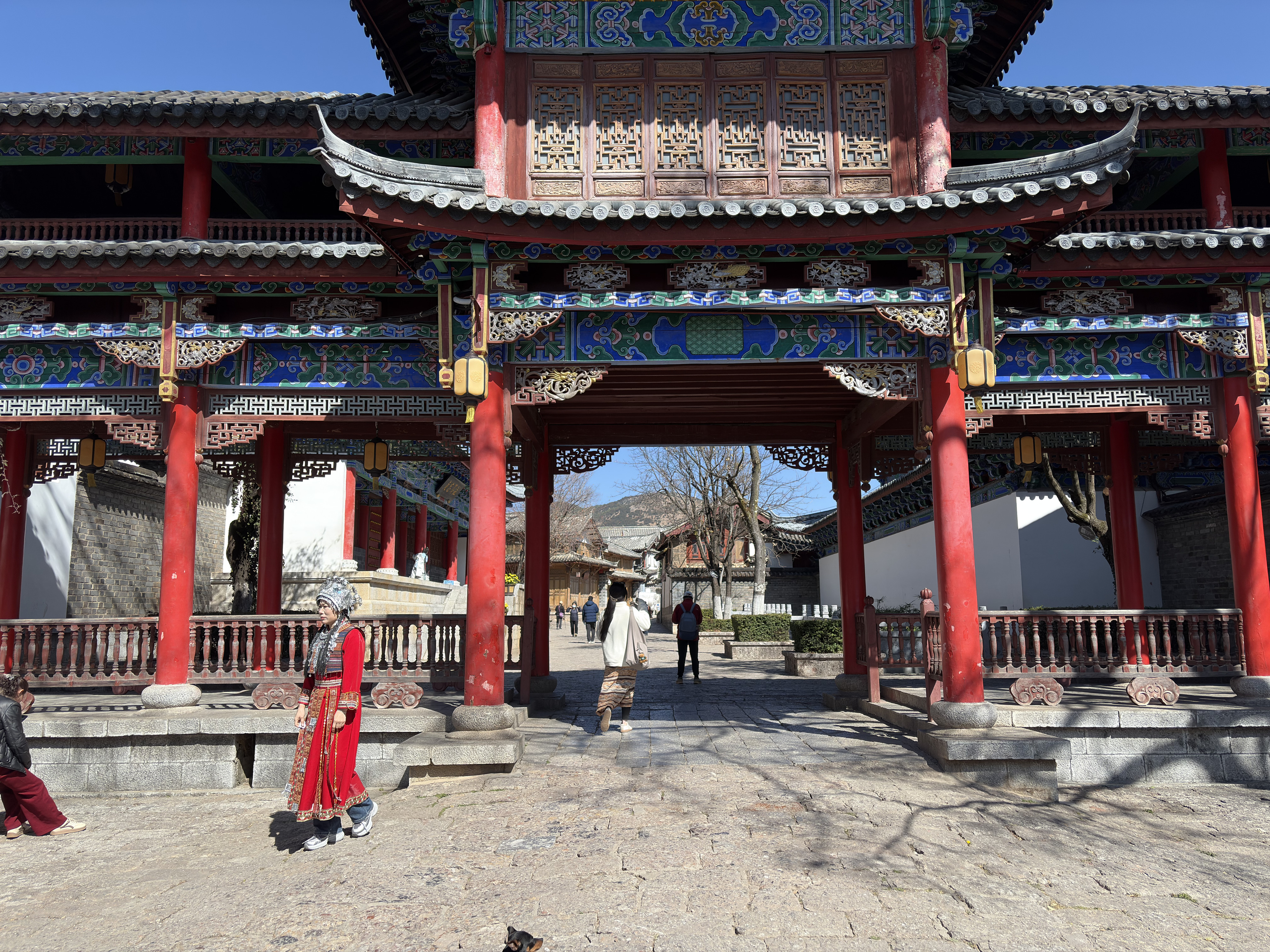 Picture China Lijiang 2026-01 261 - Discovery Lijiang