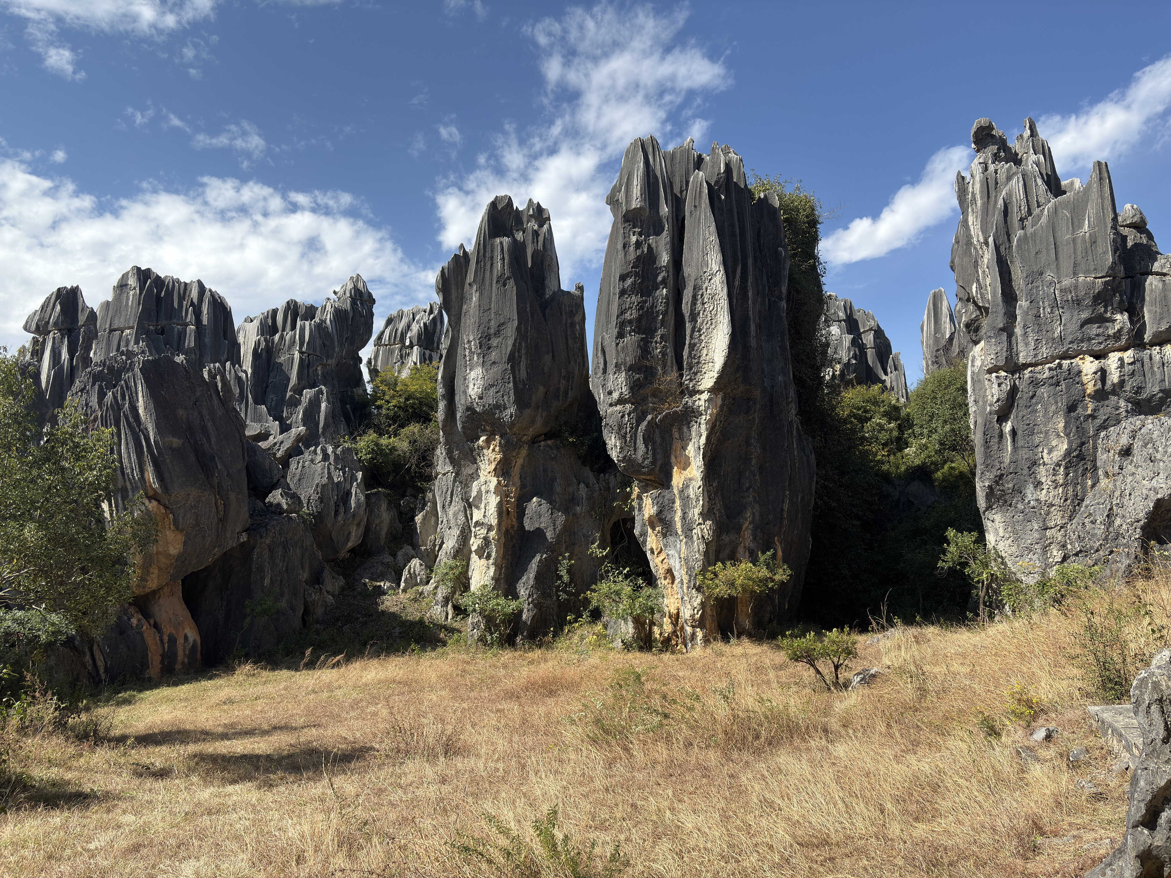 Picture China Shilin Stone Forest 2026-01 67 - Journey Shilin Stone Forest