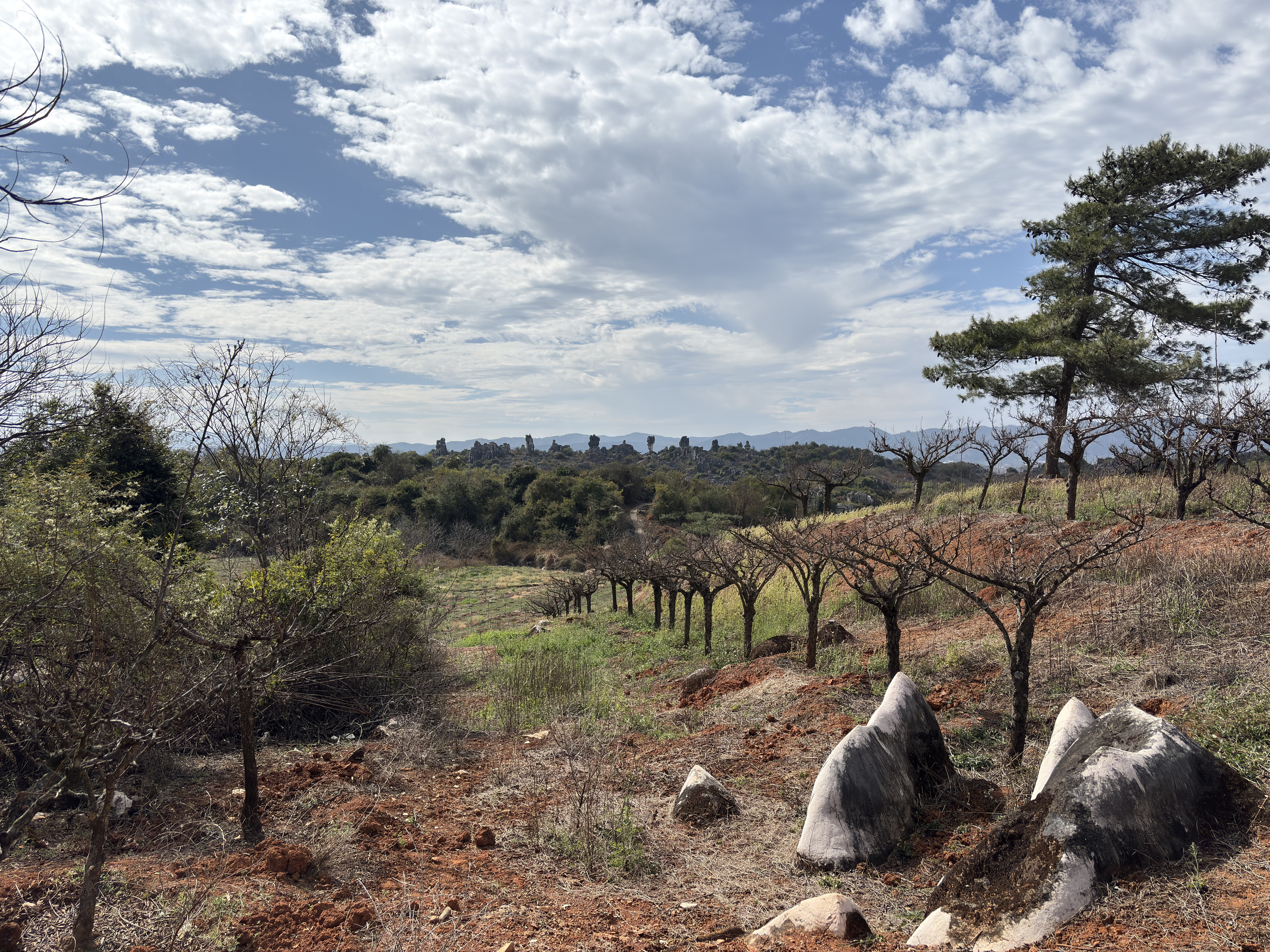 Picture China Shilin Stone Forest 2026-01 106 - History Shilin Stone Forest