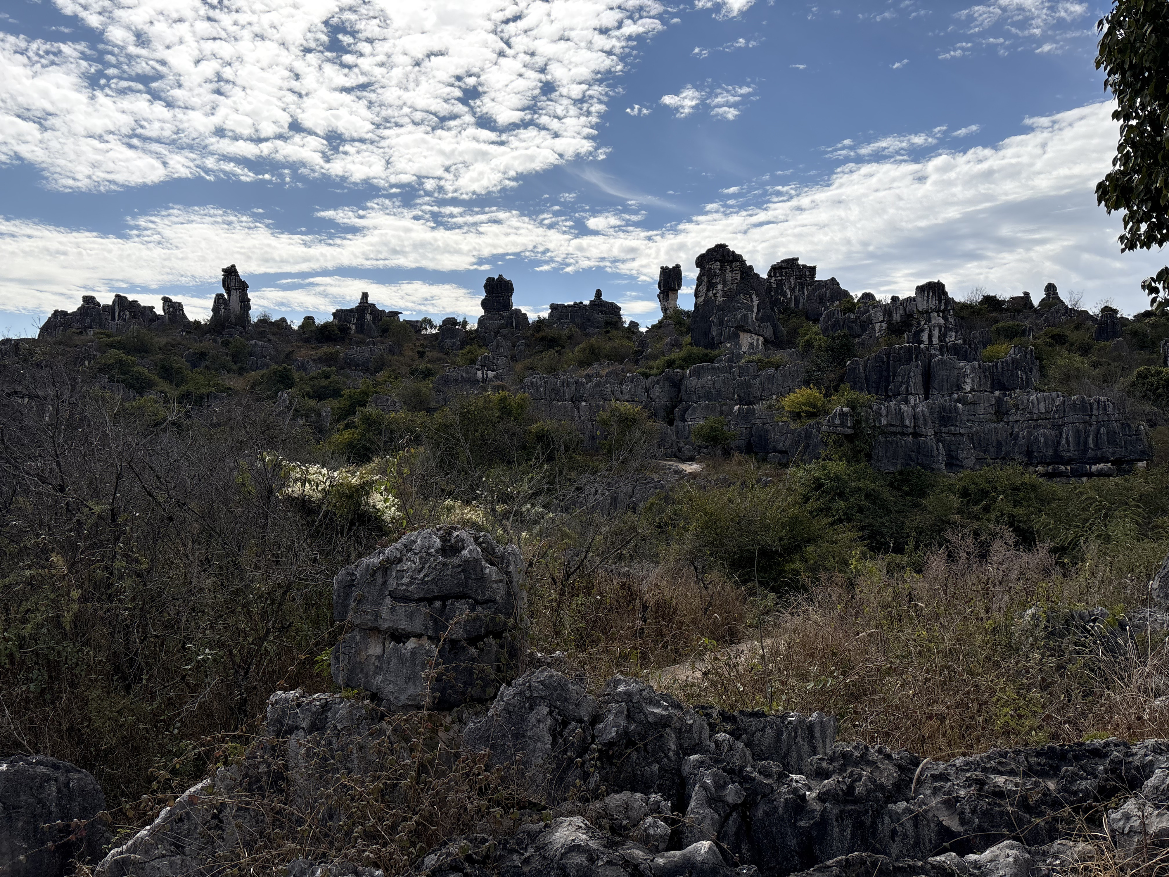 Picture China Shilin Stone Forest 2026-01 355 - History Shilin Stone Forest