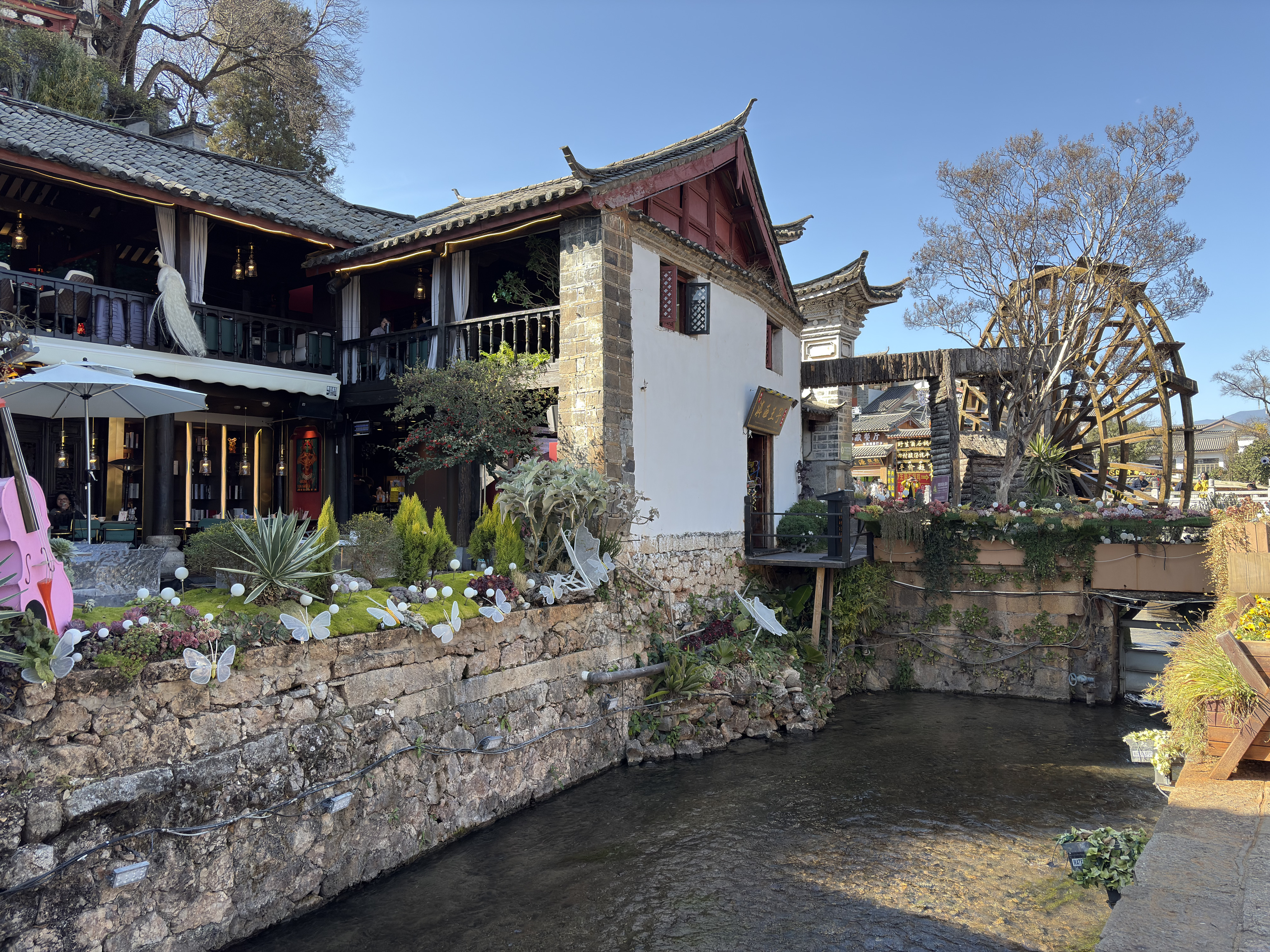 Picture China Lijiang 2026-01 753 - Discovery Lijiang