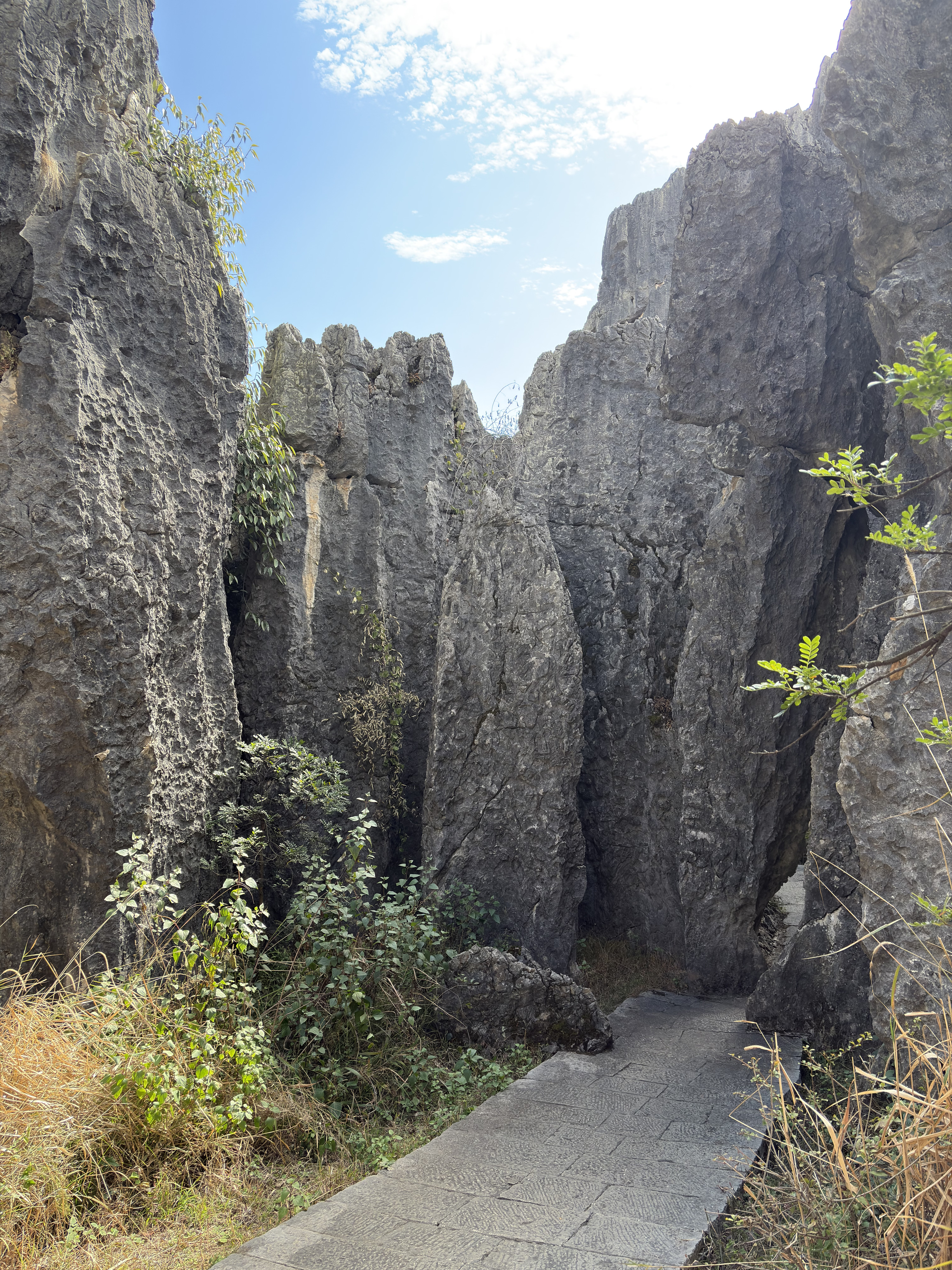 Picture China Shilin Stone Forest 2026-01 319 - Journey Shilin Stone Forest