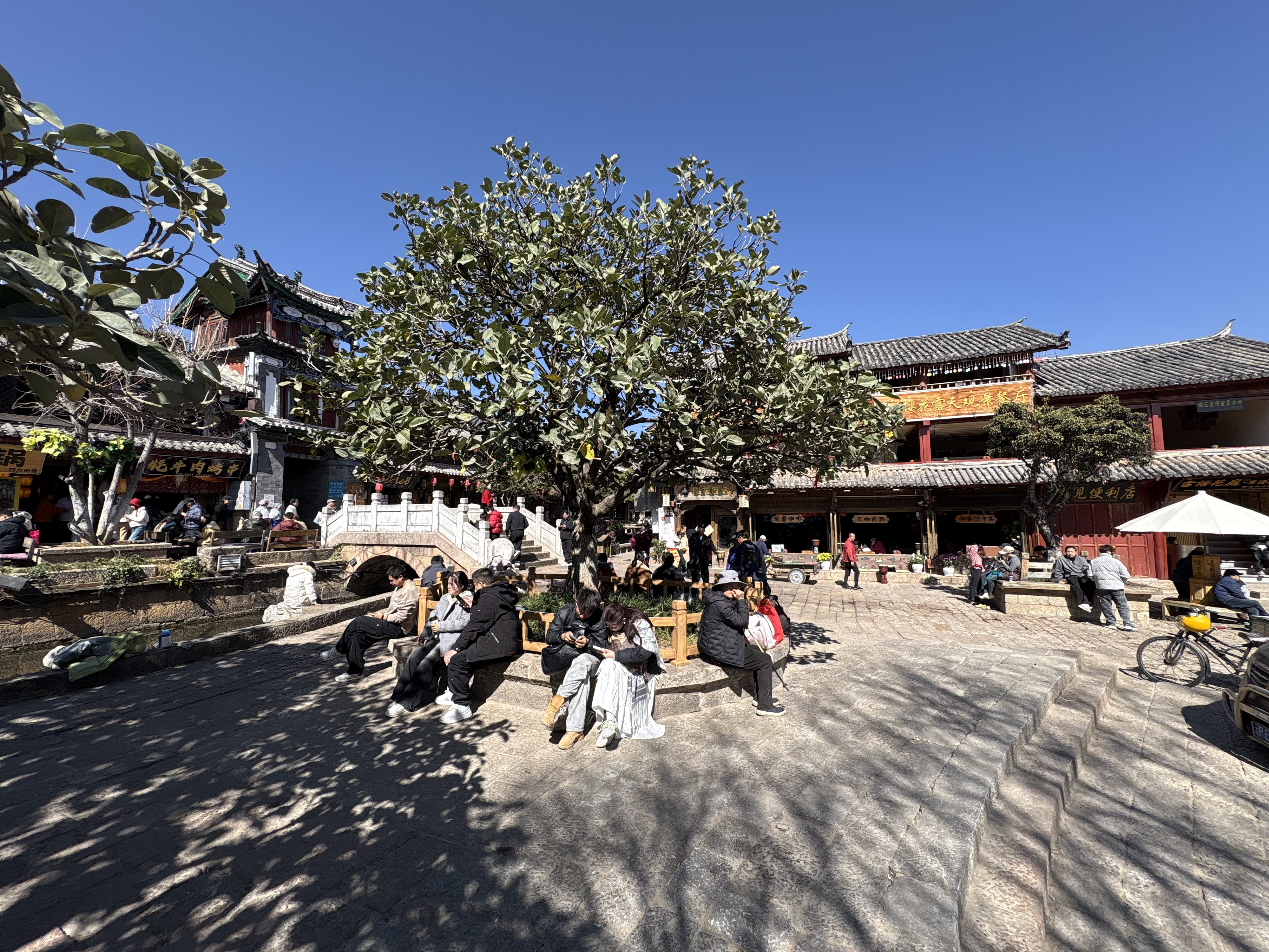 Picture China Lijiang 2026-01 630 - Journey Lijiang