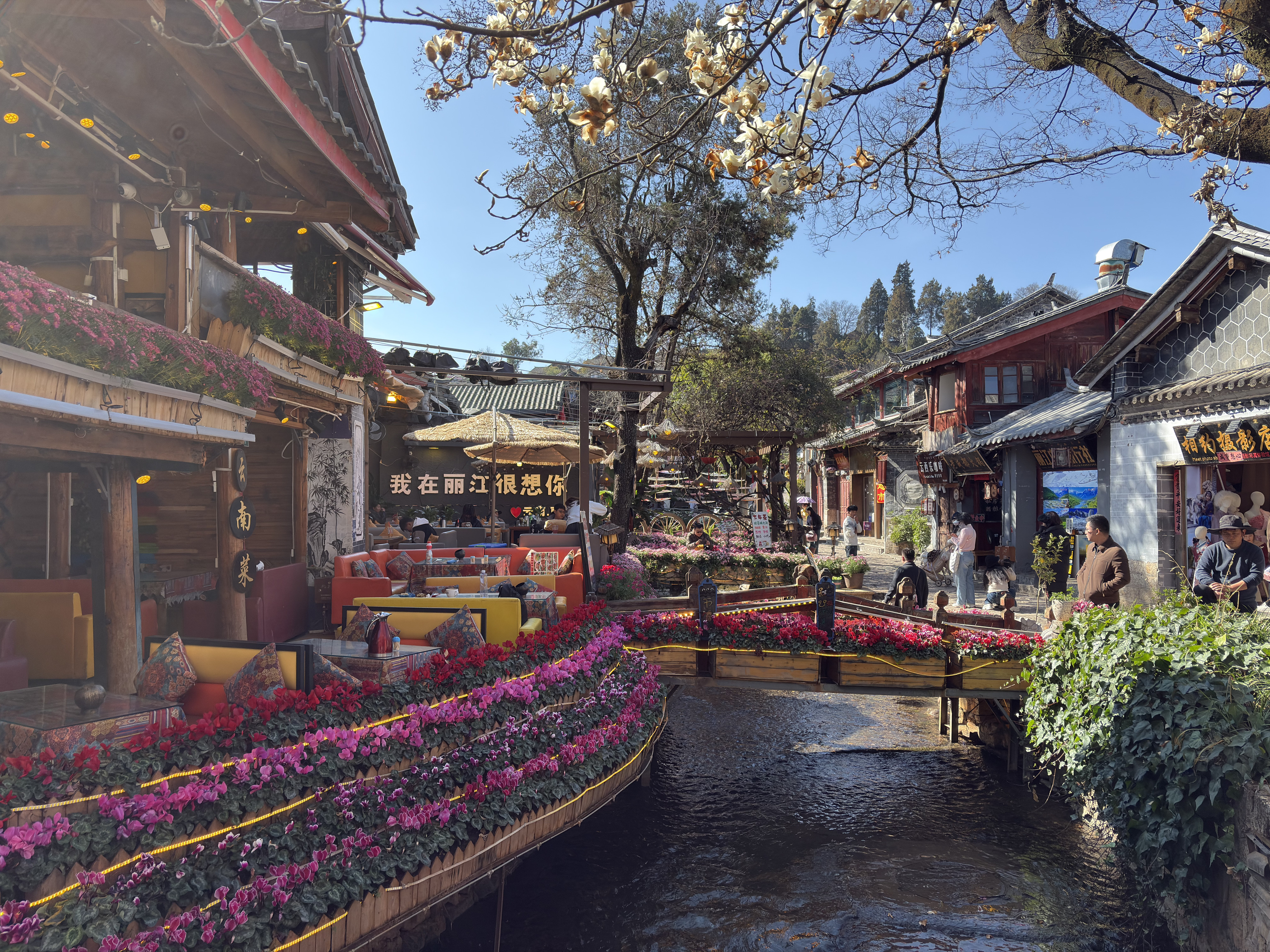 Picture China Lijiang 2026-01 384 - Tour Lijiang