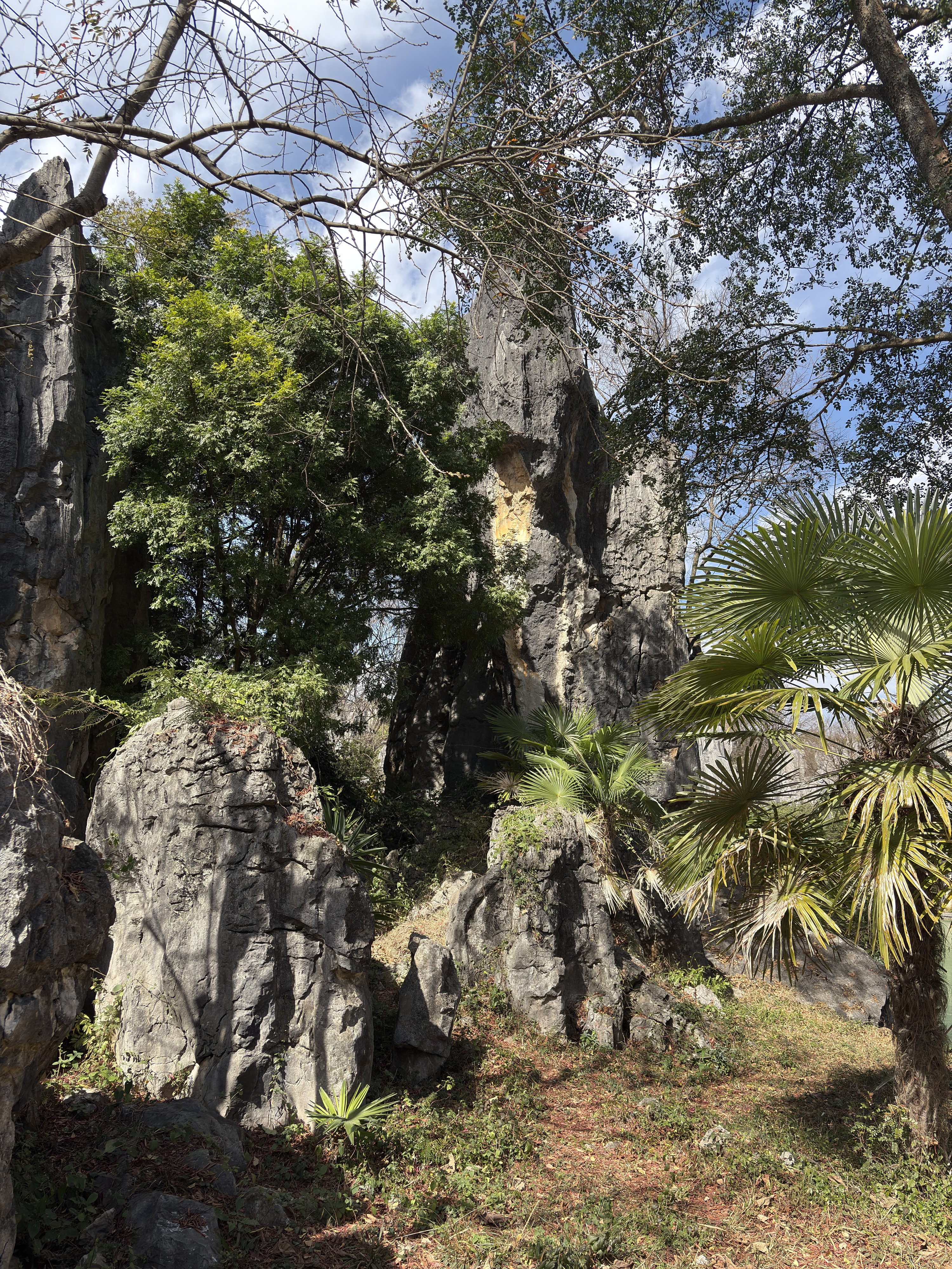 Picture China Shilin Stone Forest 2026-01 36 - History Shilin Stone Forest