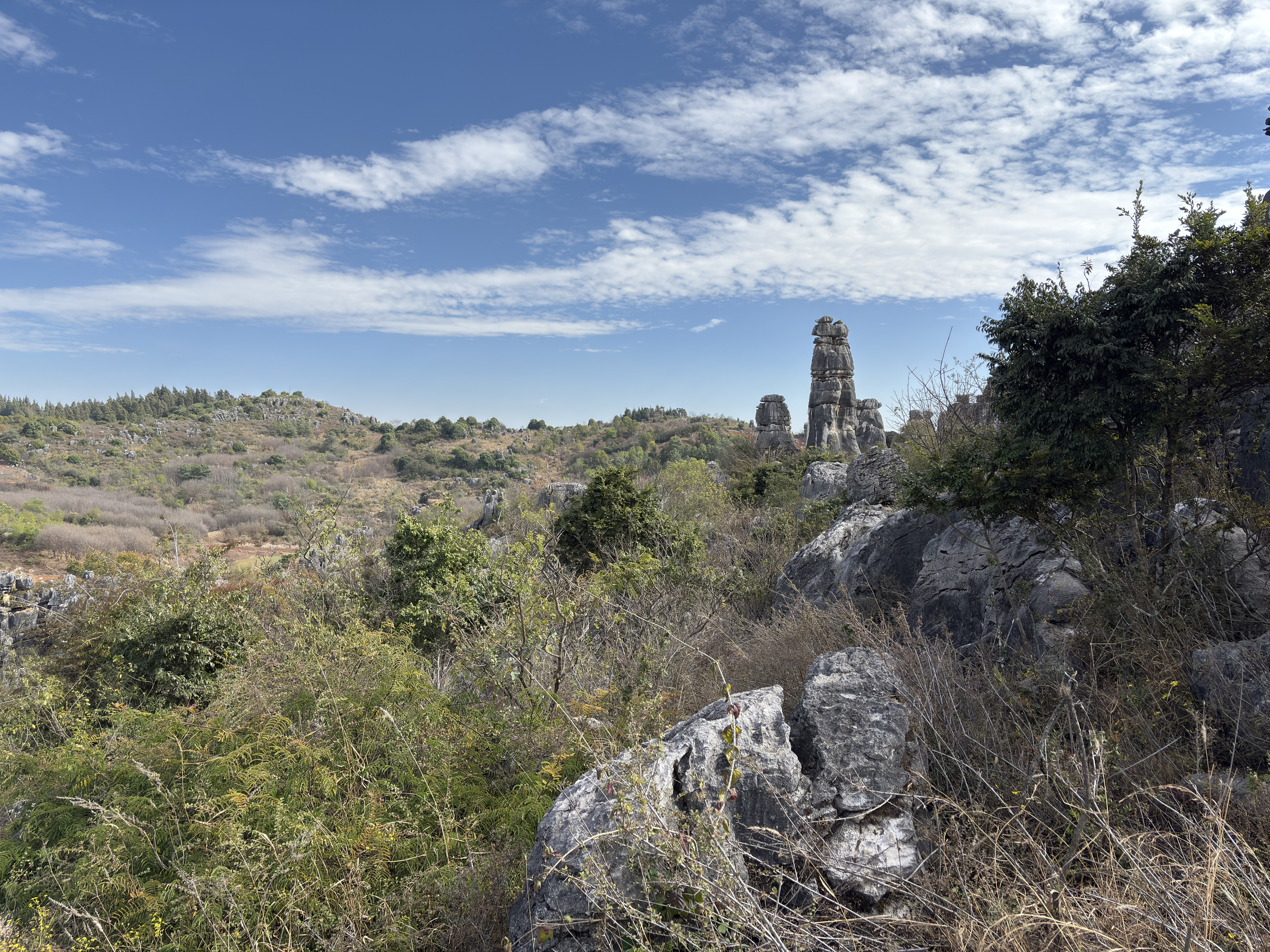 Picture China Shilin Stone Forest 2026-01 394 - Center Shilin Stone Forest