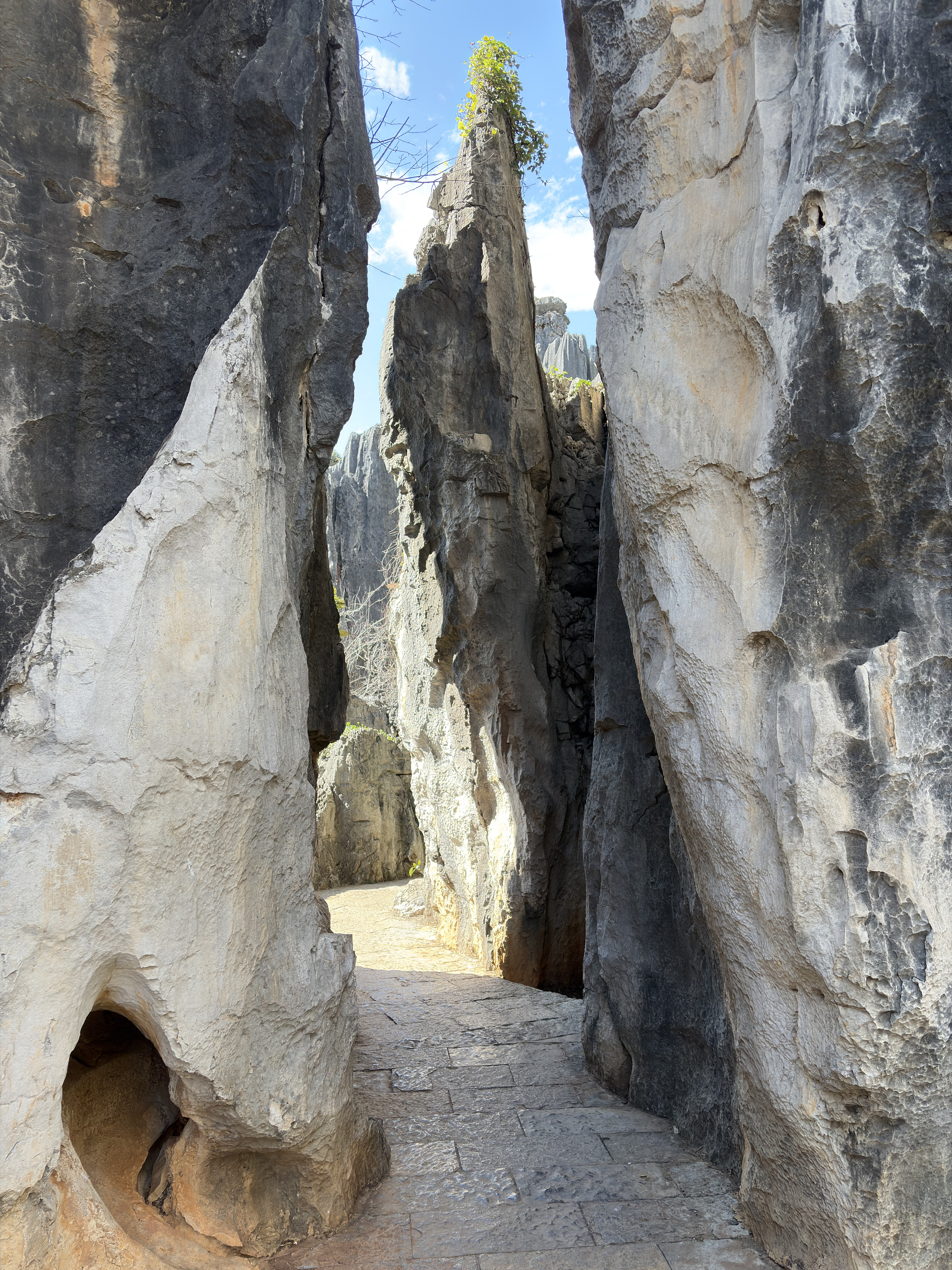 Picture China Shilin Stone Forest 2026-01 239 - Journey Shilin Stone Forest
