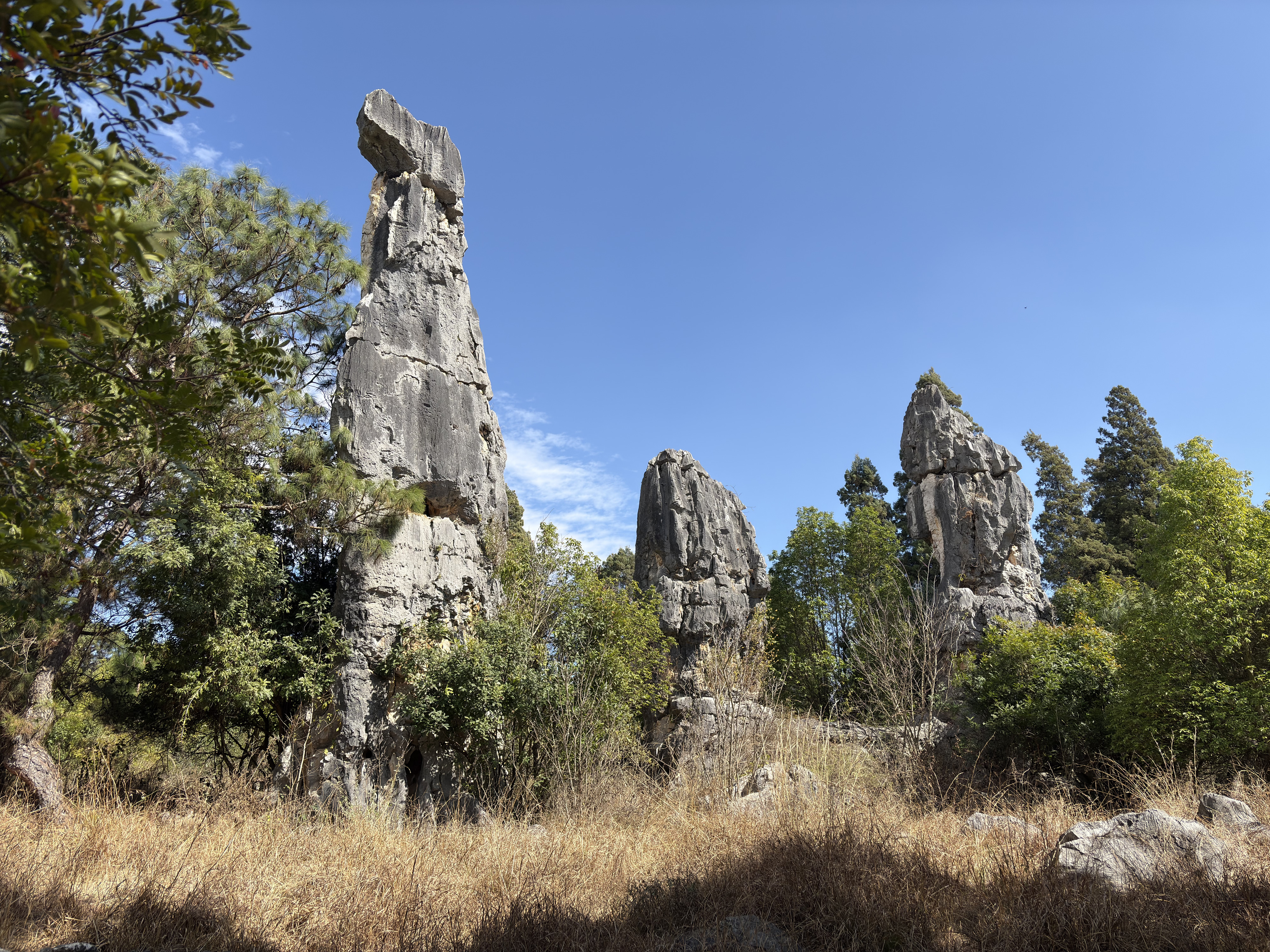 Picture China Shilin Stone Forest 2026-01 347 - Tours Shilin Stone Forest