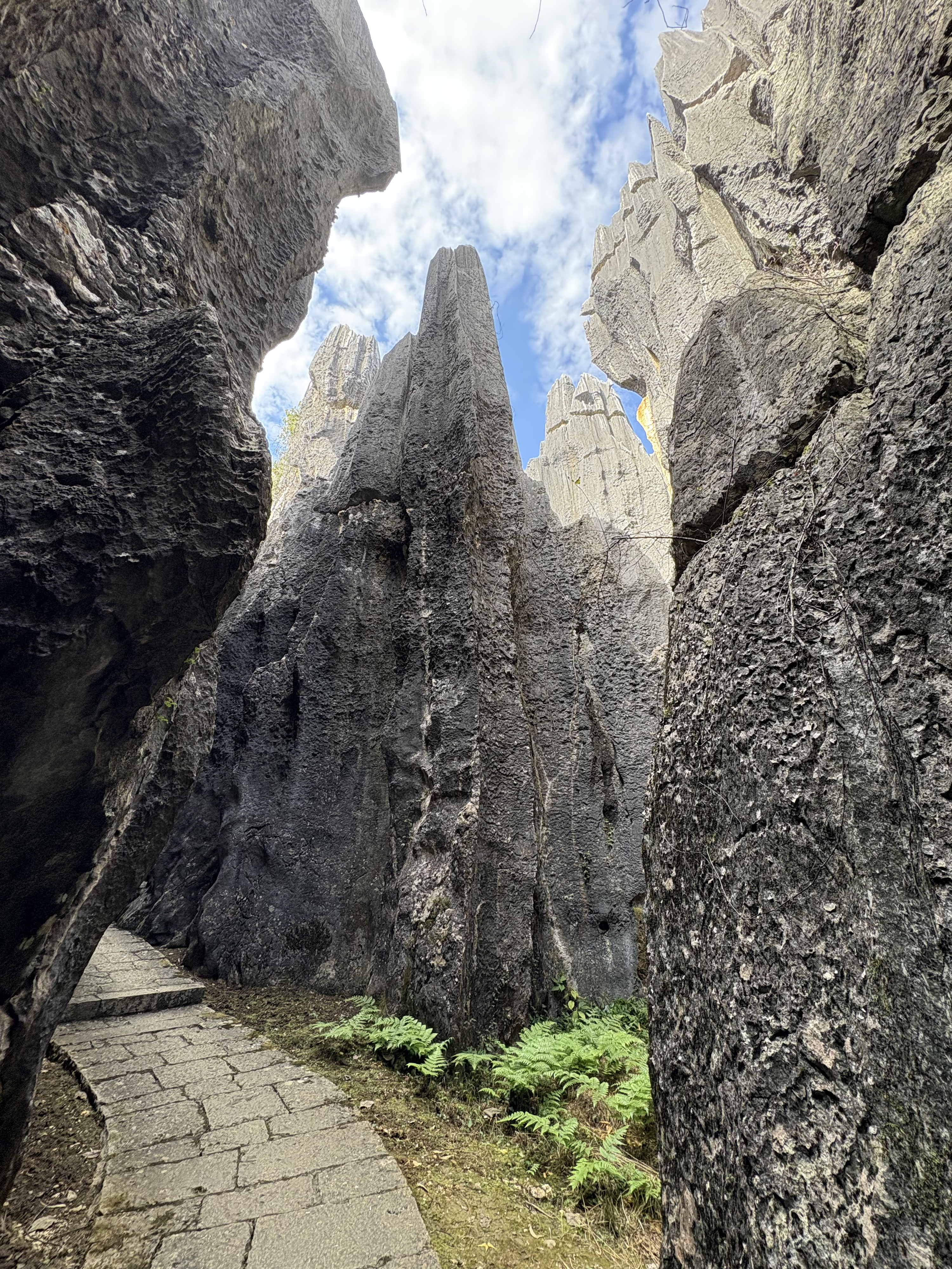 Picture China Shilin Stone Forest 2026-01 246 - Center Shilin Stone Forest