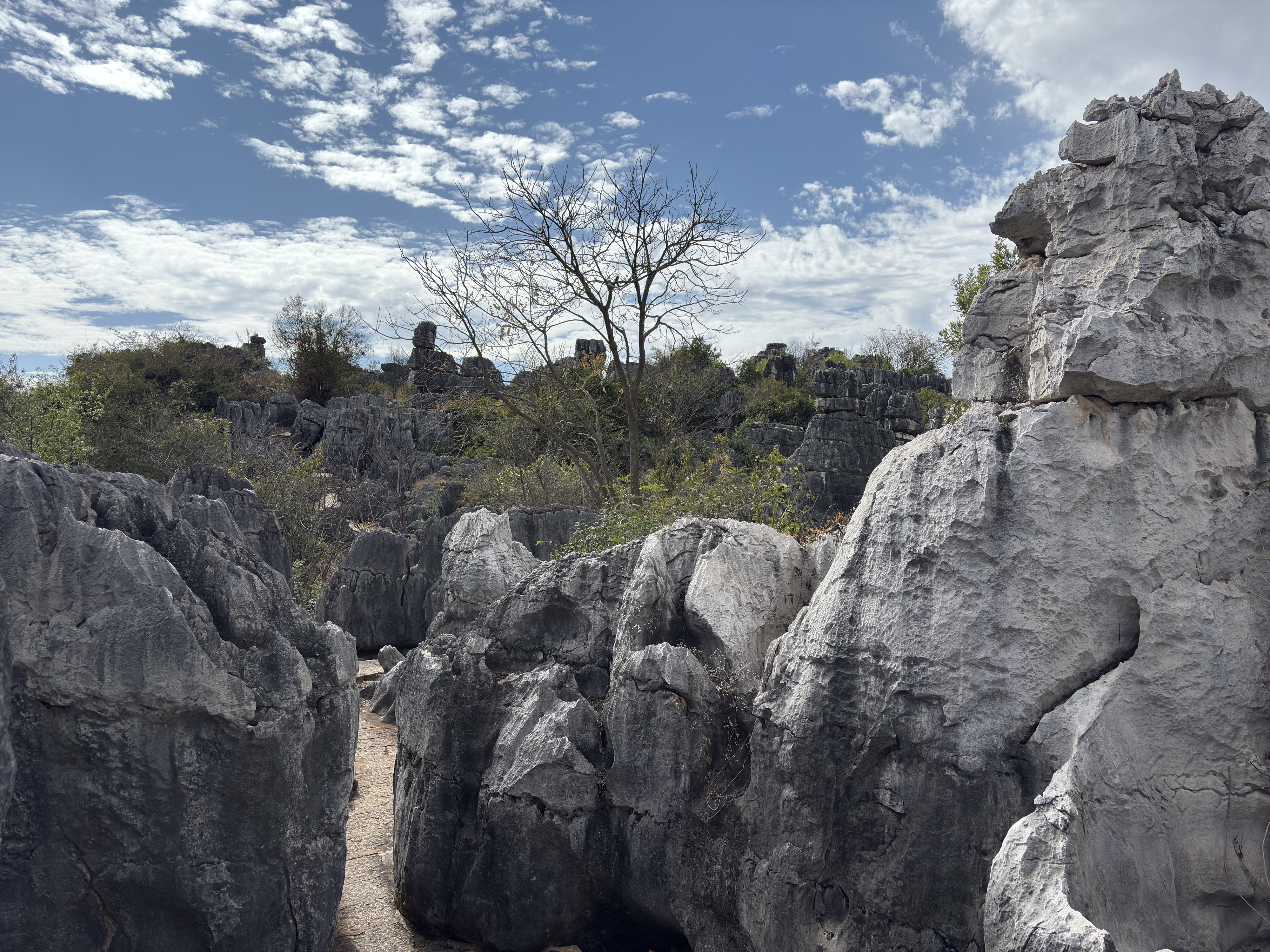Picture China Shilin Stone Forest 2026-01 130 - Discovery Shilin Stone Forest
