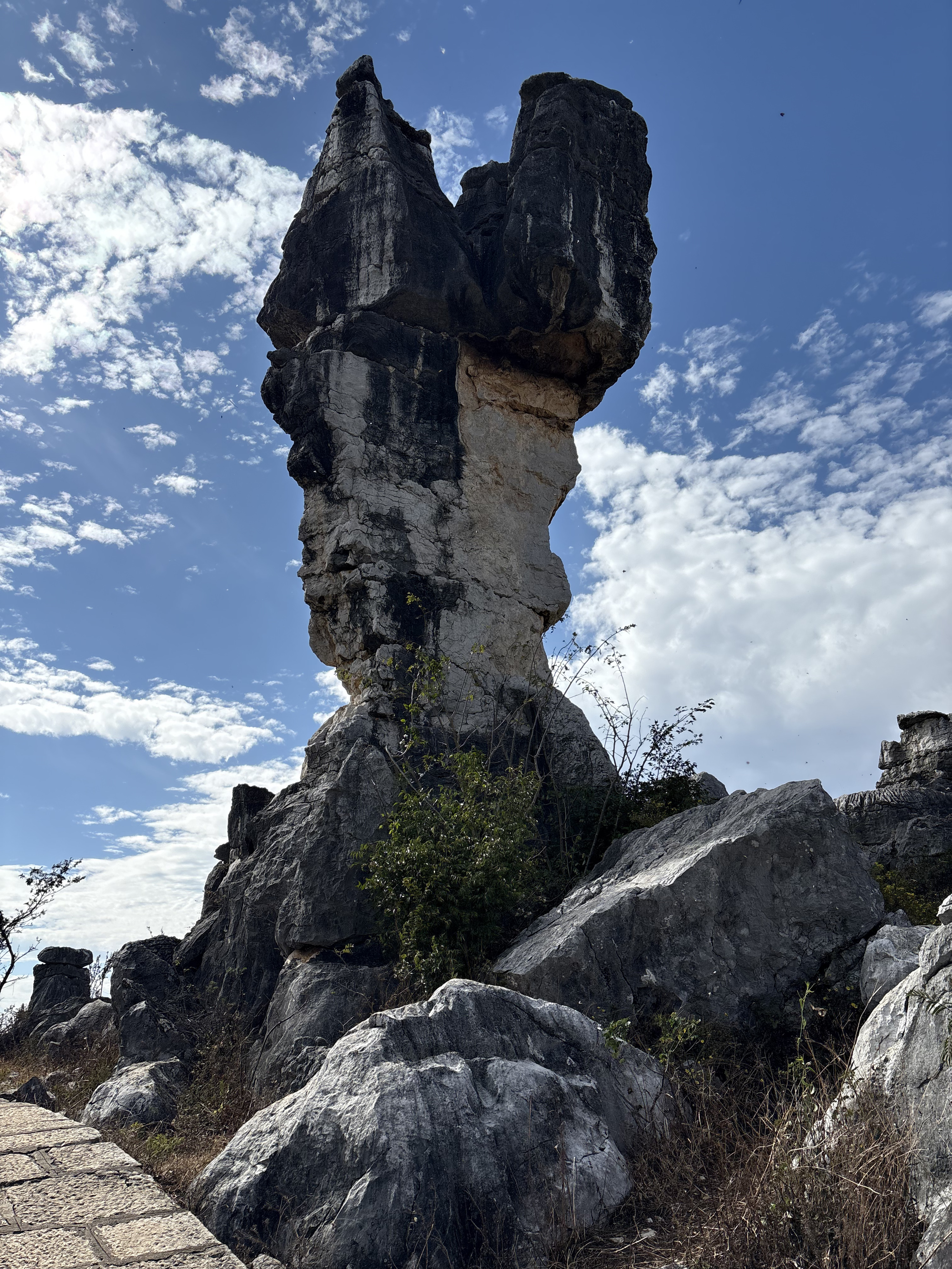 Picture China Shilin Stone Forest 2026-01 46 - Center Shilin Stone Forest