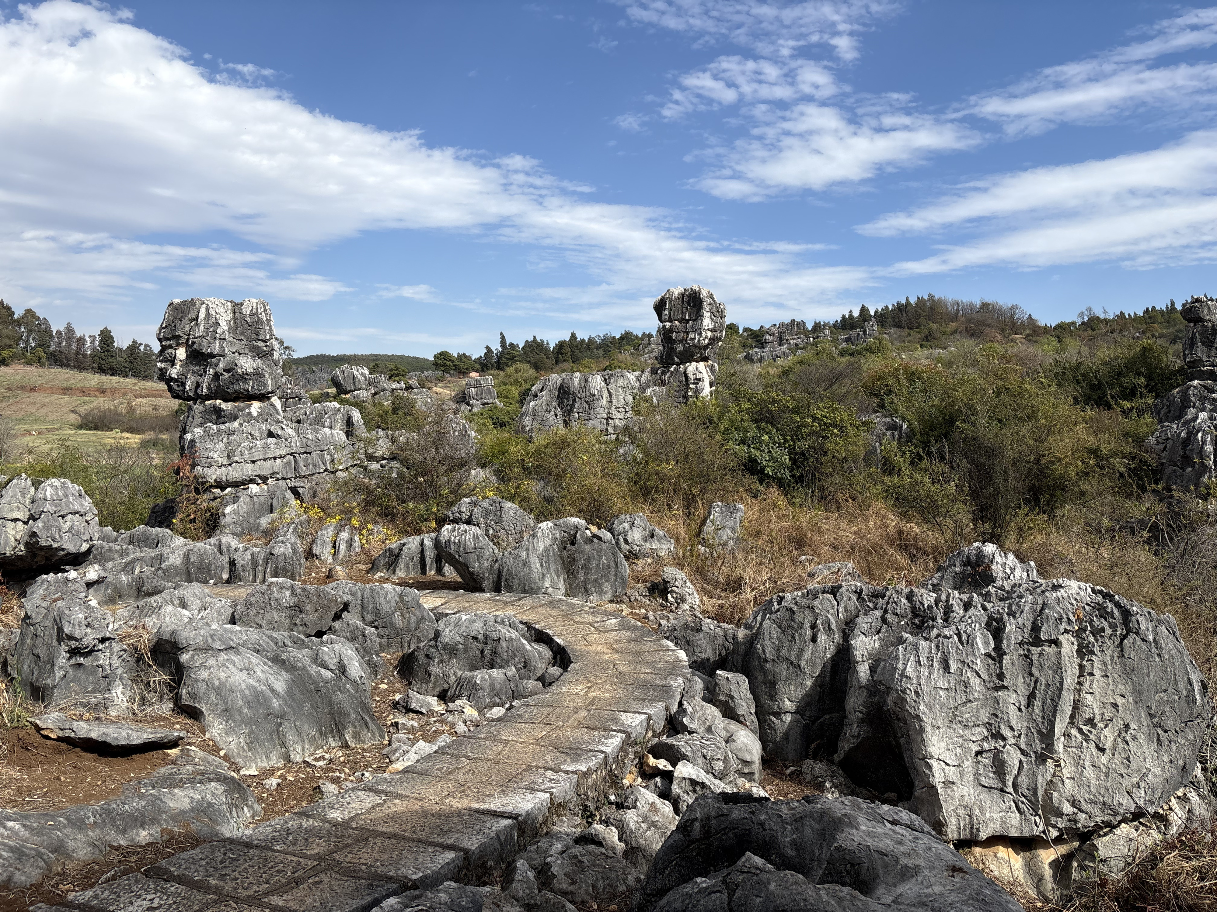 Picture China Shilin Stone Forest 2026-01 337 - Tours Shilin Stone Forest