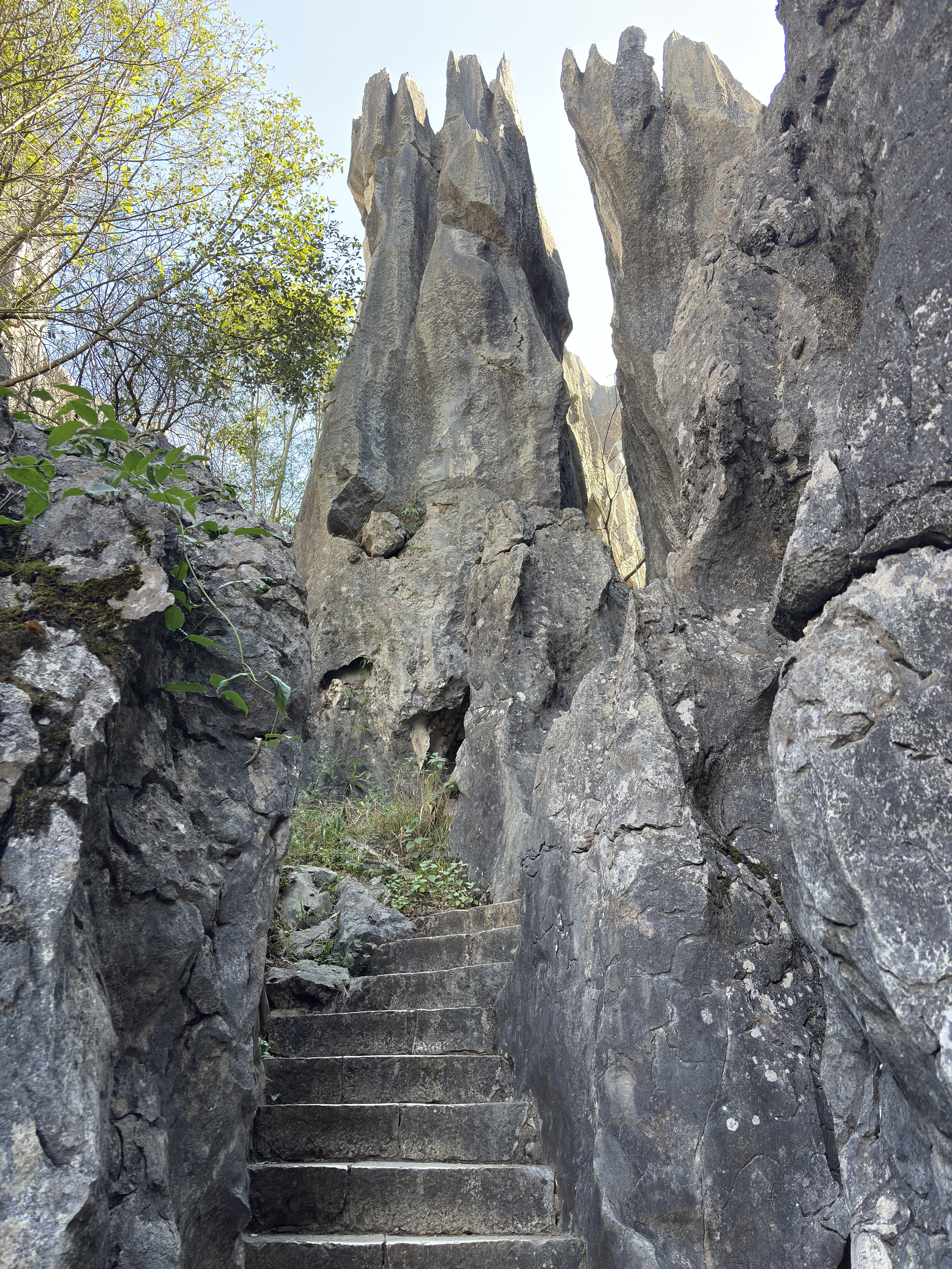 Picture China Shilin Stone Forest 2026-01 295 - Tour Shilin Stone Forest