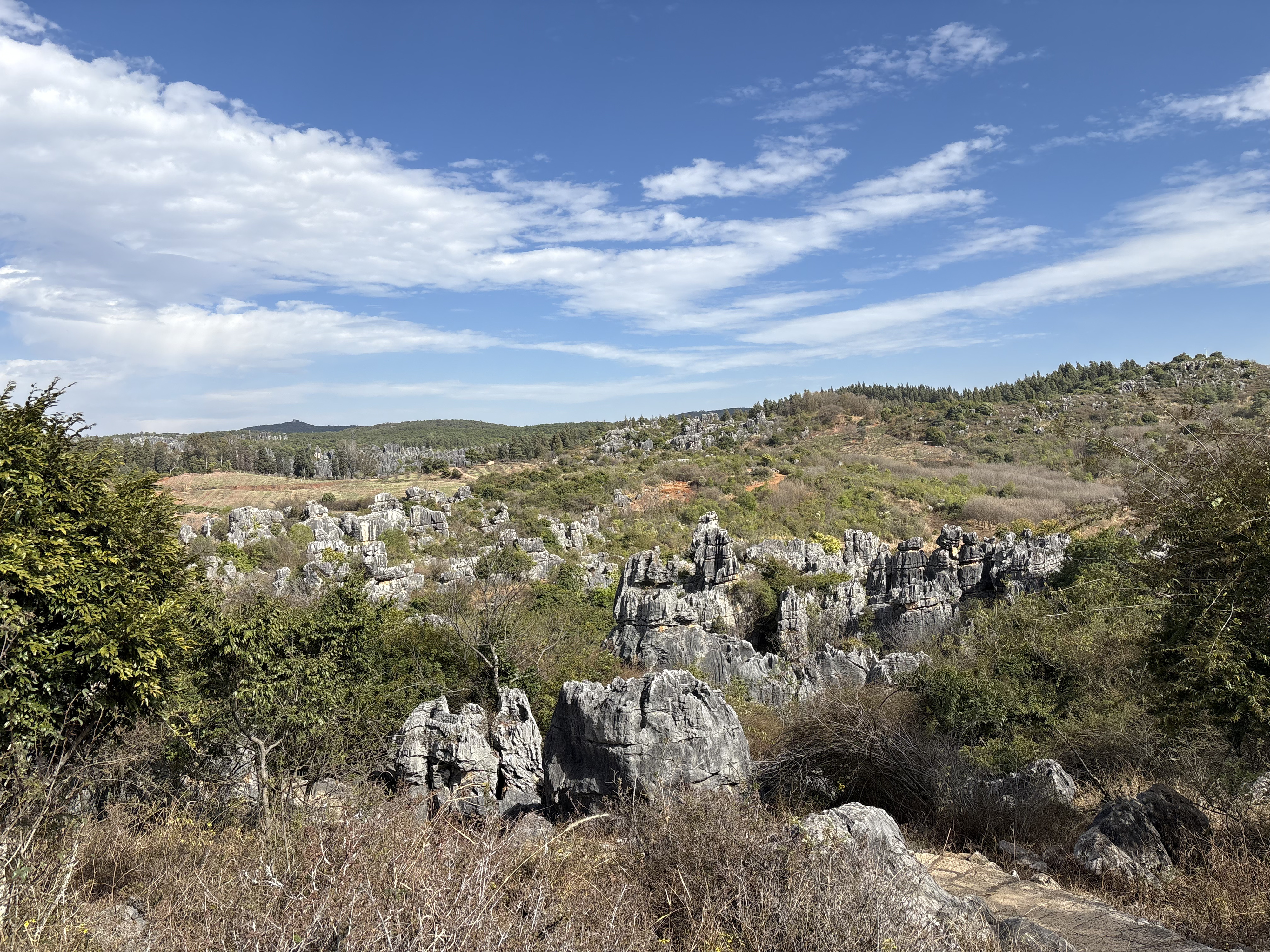 Picture China Shilin Stone Forest 2026-01 48 - Journey Shilin Stone Forest