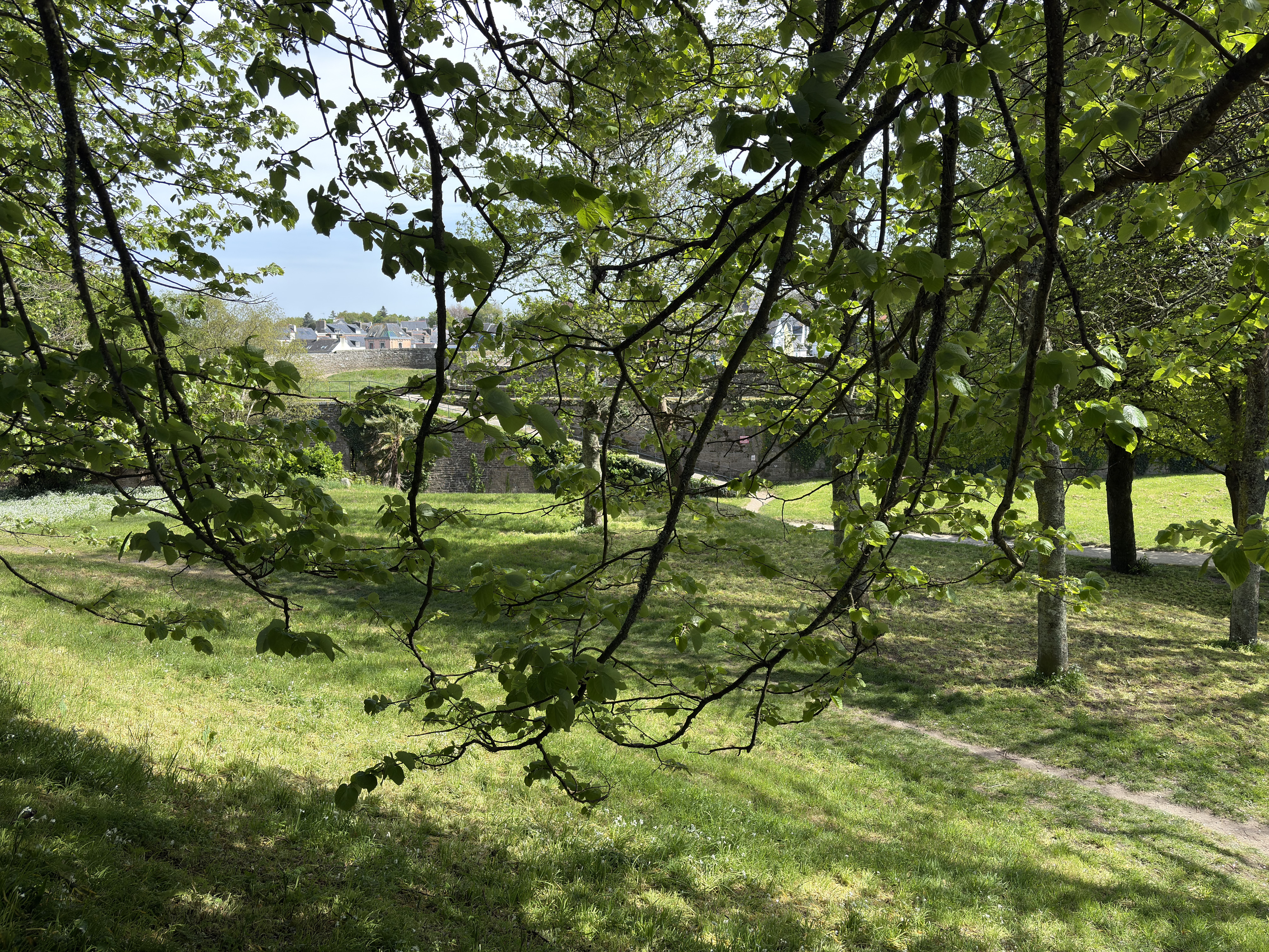 Picture France Concarneau Ville close 2026-04 112 - Center Ville close