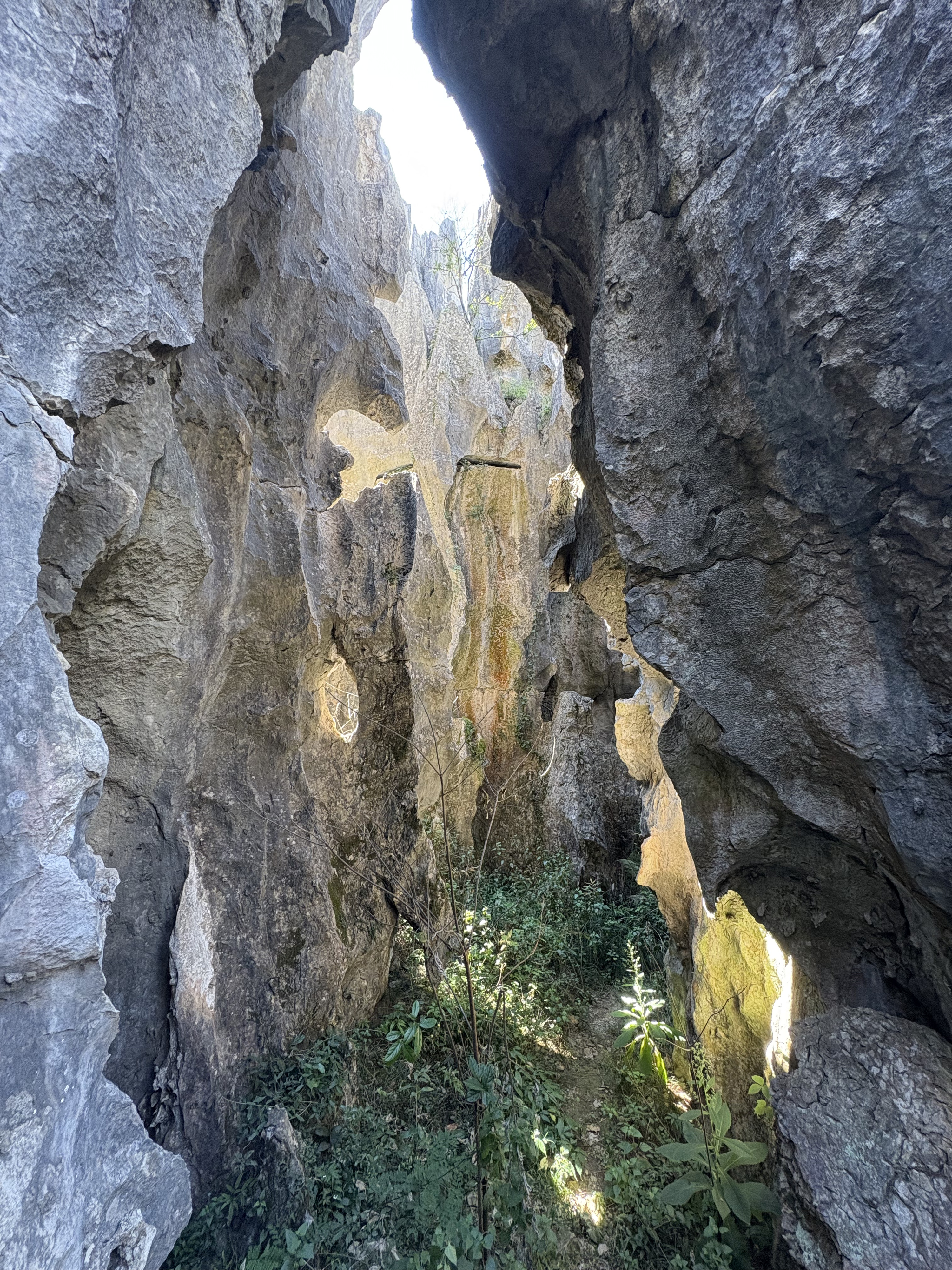 Picture China Shilin Stone Forest 2026-01 200 - Around Shilin Stone Forest