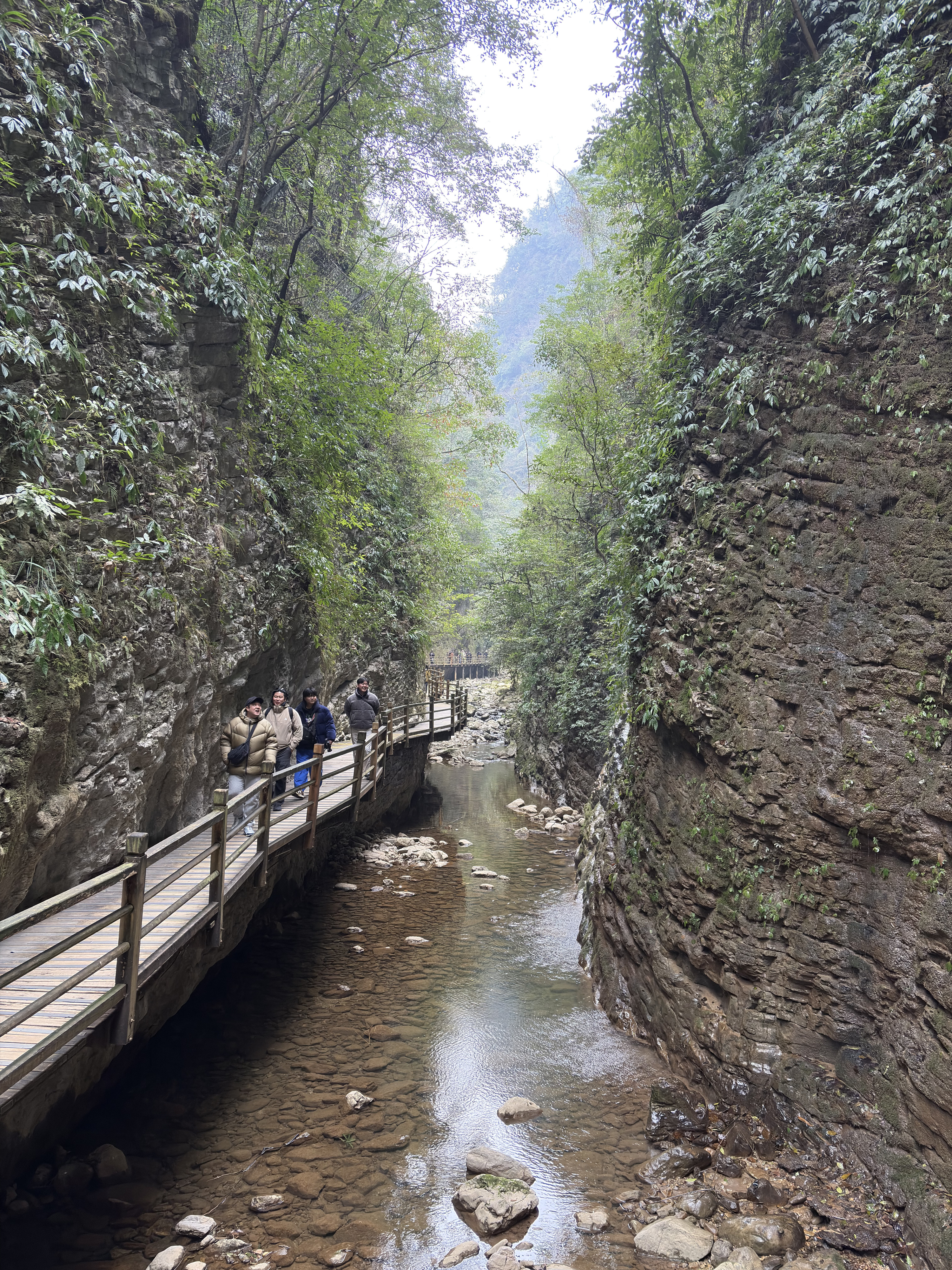 Picture China Zhangjiajie Grand Canion 2026-01 74 - Tour Grand Canion