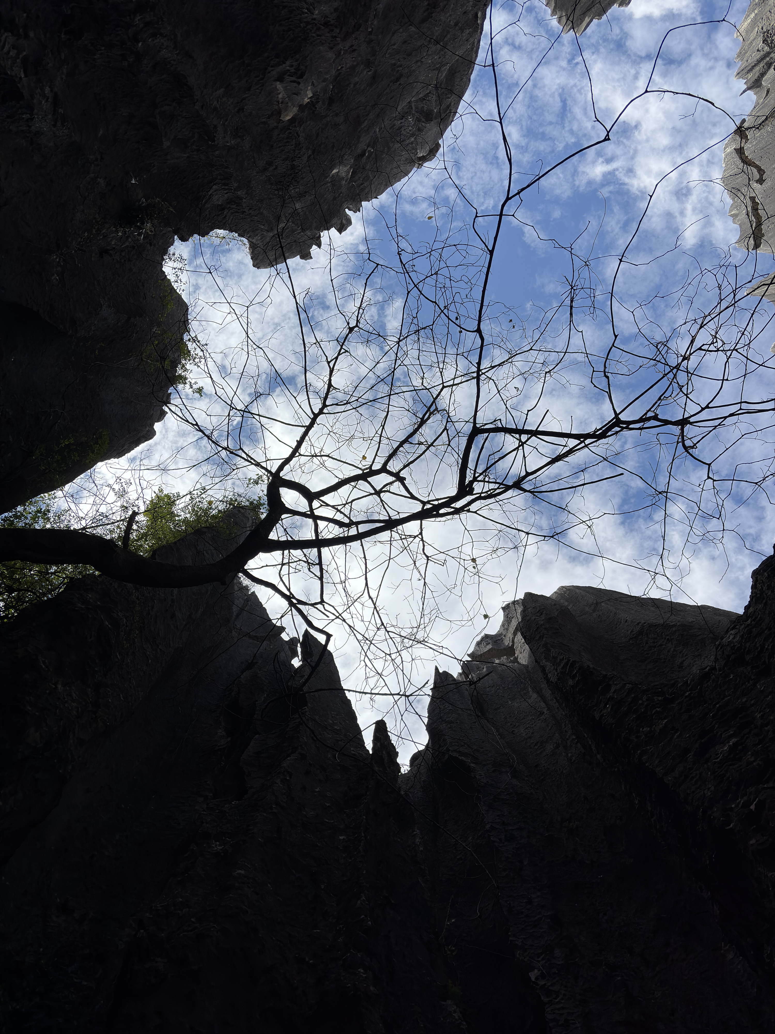 Picture China Shilin Stone Forest 2026-01 119 - Journey Shilin Stone Forest