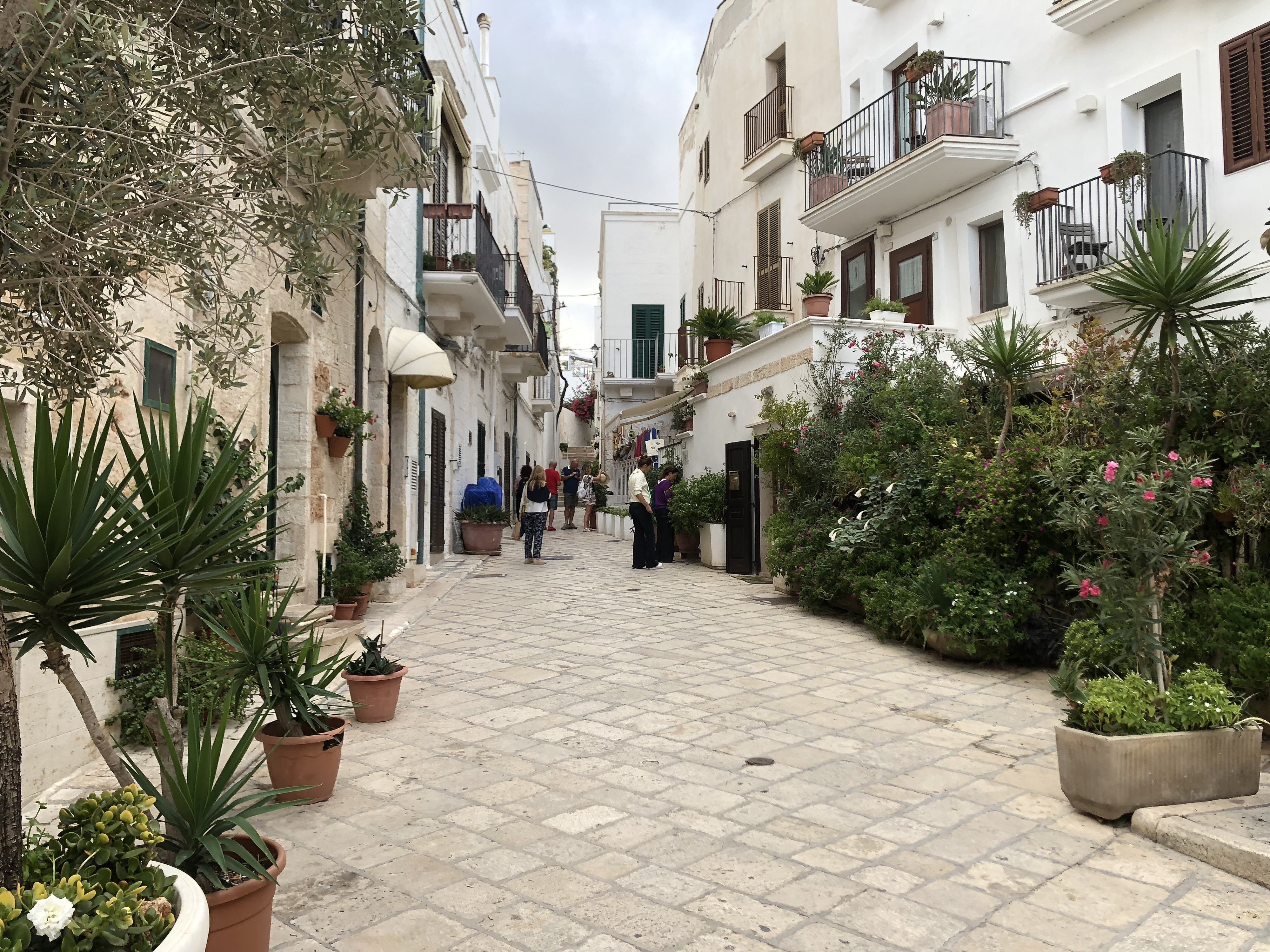 Picture Italy Polignano a mare 2024-09 29 - Tour Polignano a mare