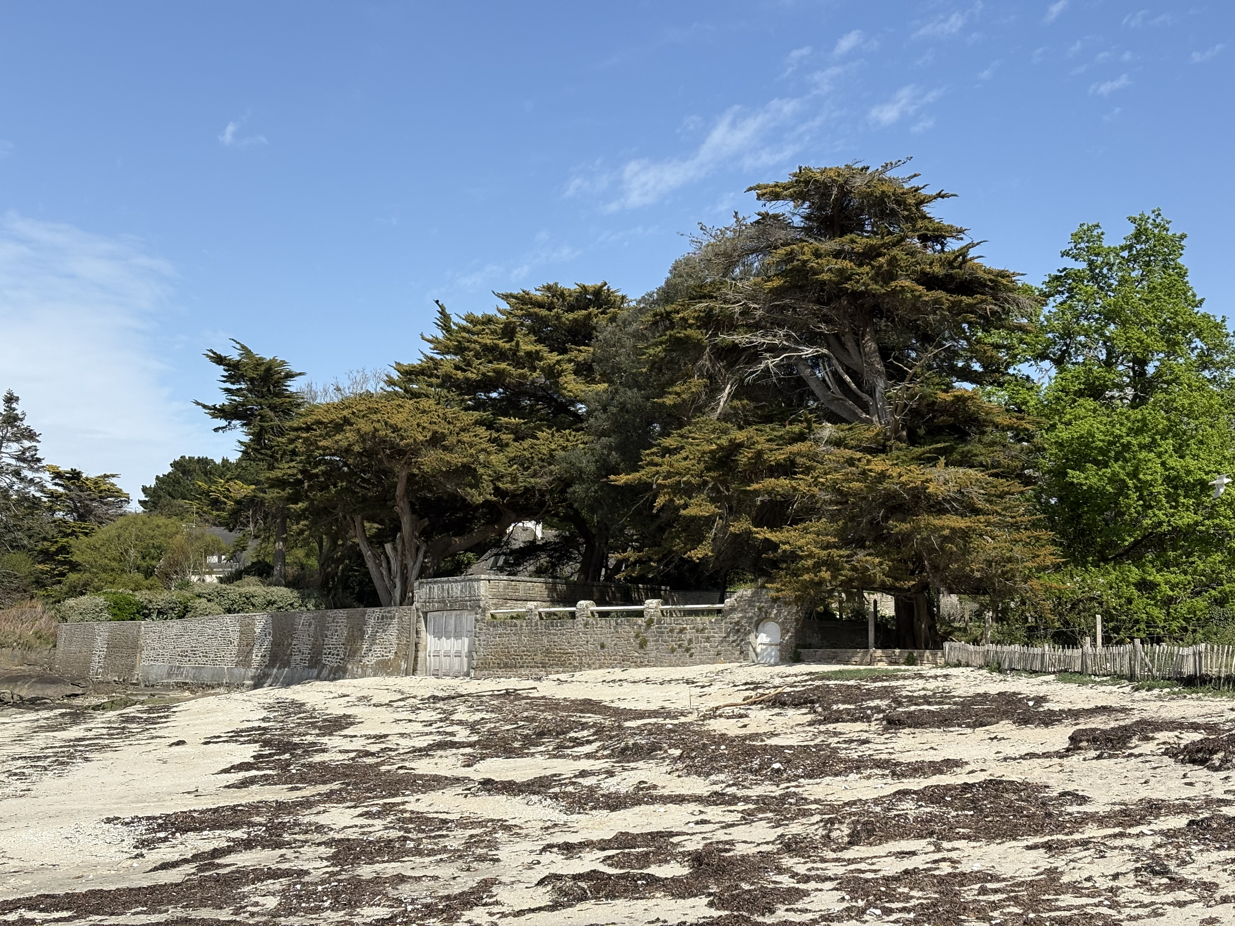 Picture France Concarneau 2026-04 40 - History Concarneau
