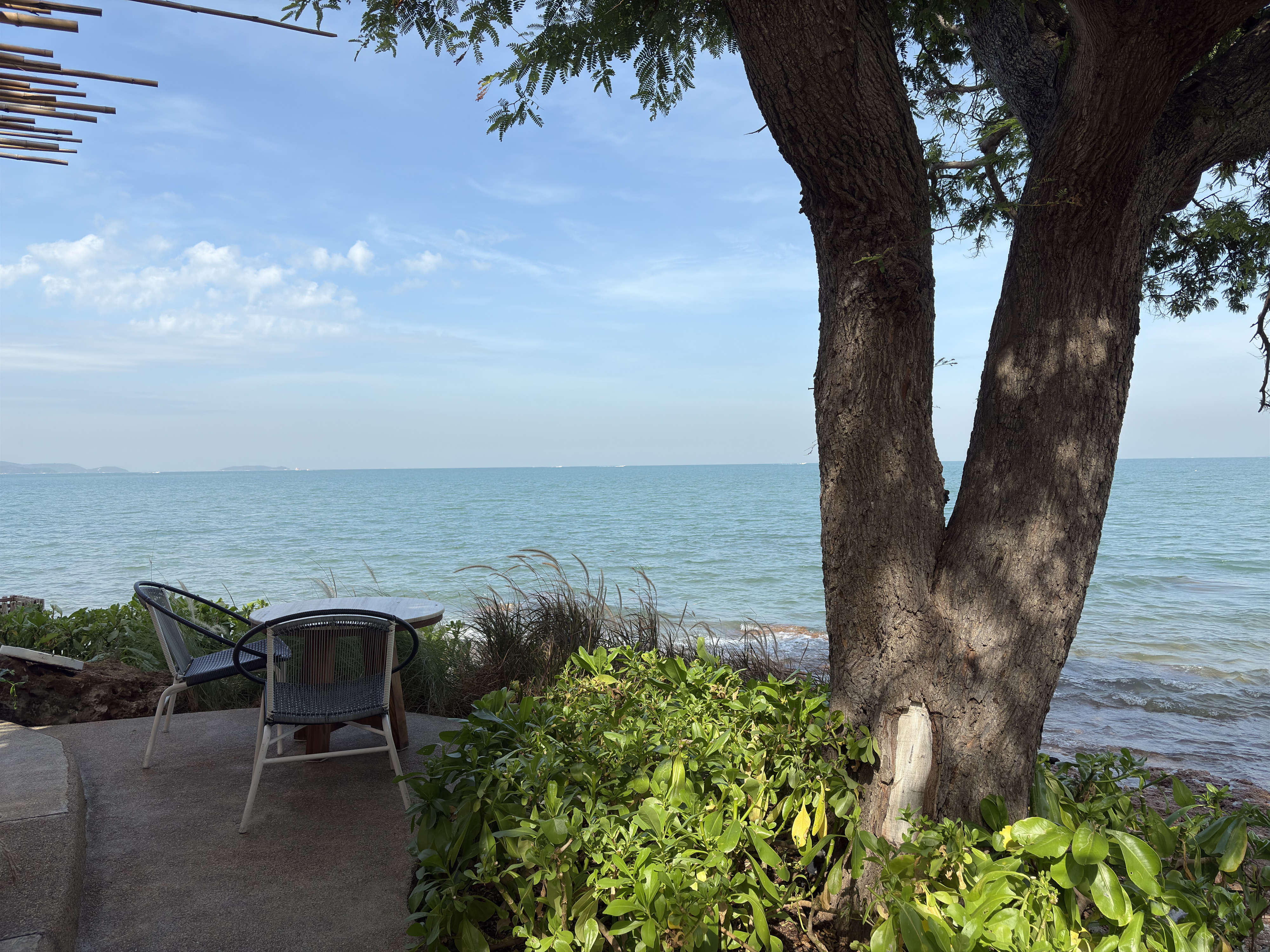 Picture Thailand Pattaya Oxygen Restaurant 2024-12 69 - Around Oxygen Restaurant