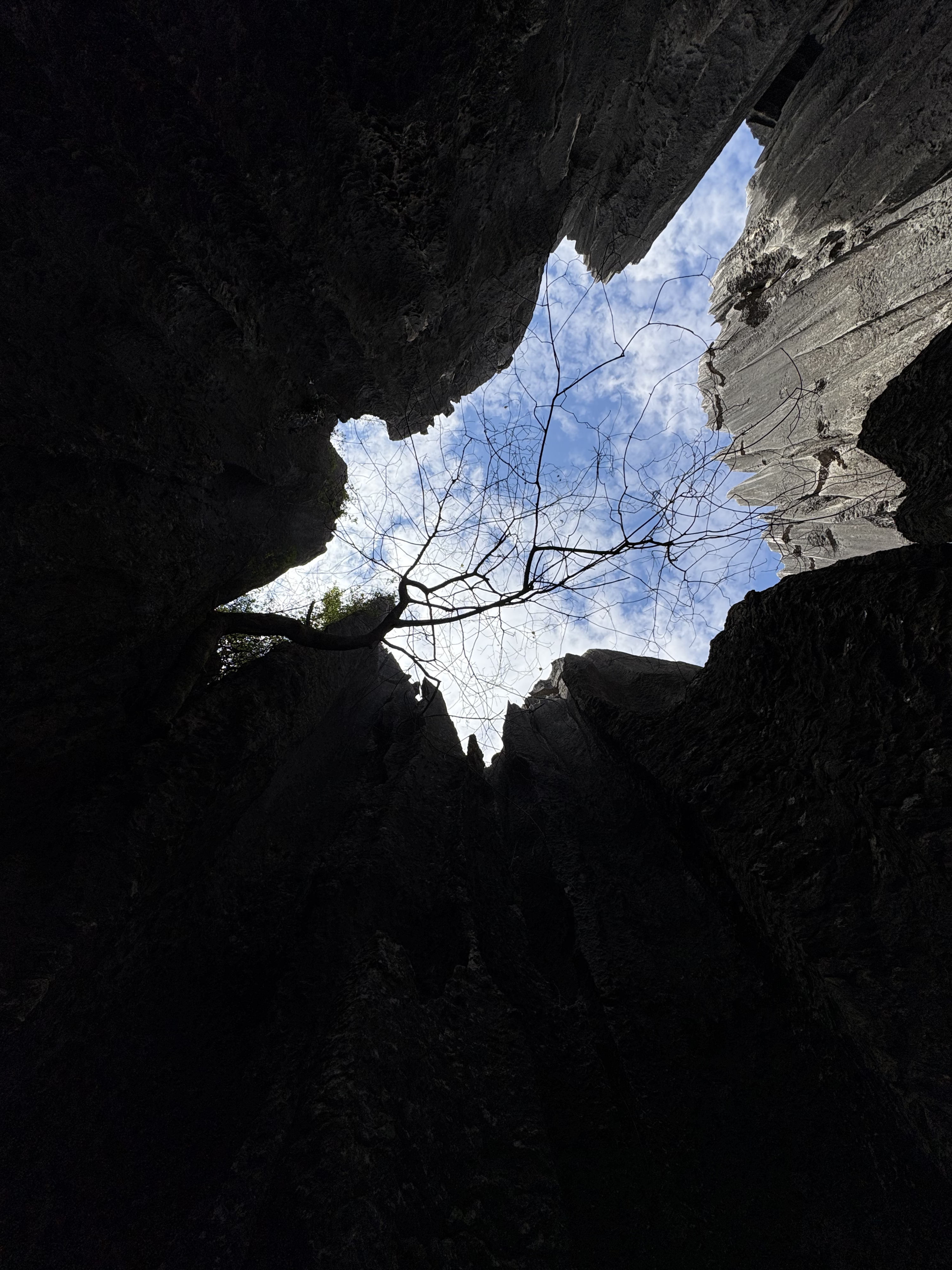 Picture China Shilin Stone Forest 2026-01 89 - Journey Shilin Stone Forest