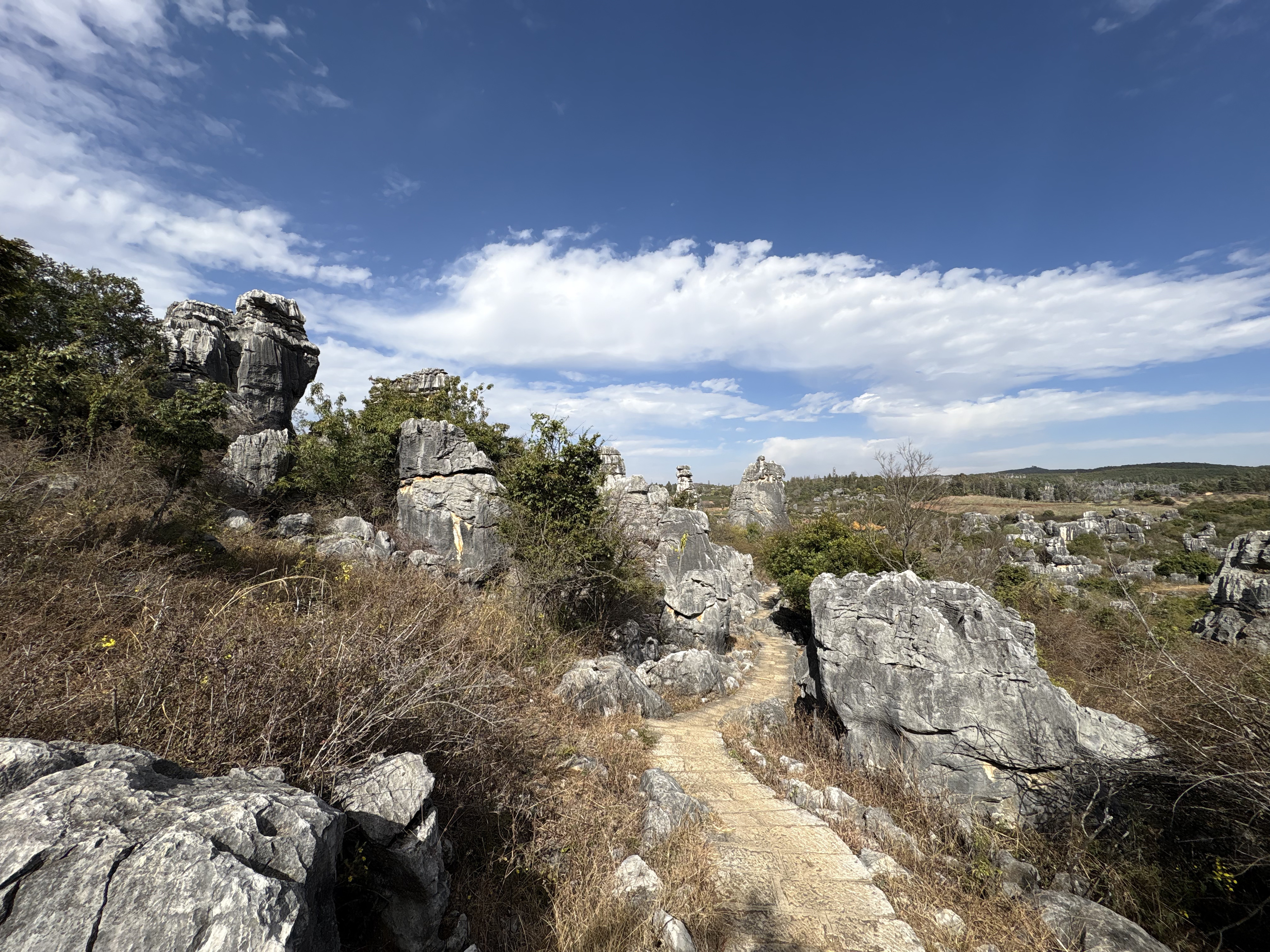 Picture China Shilin Stone Forest 2026-01 370 - Around Shilin Stone Forest