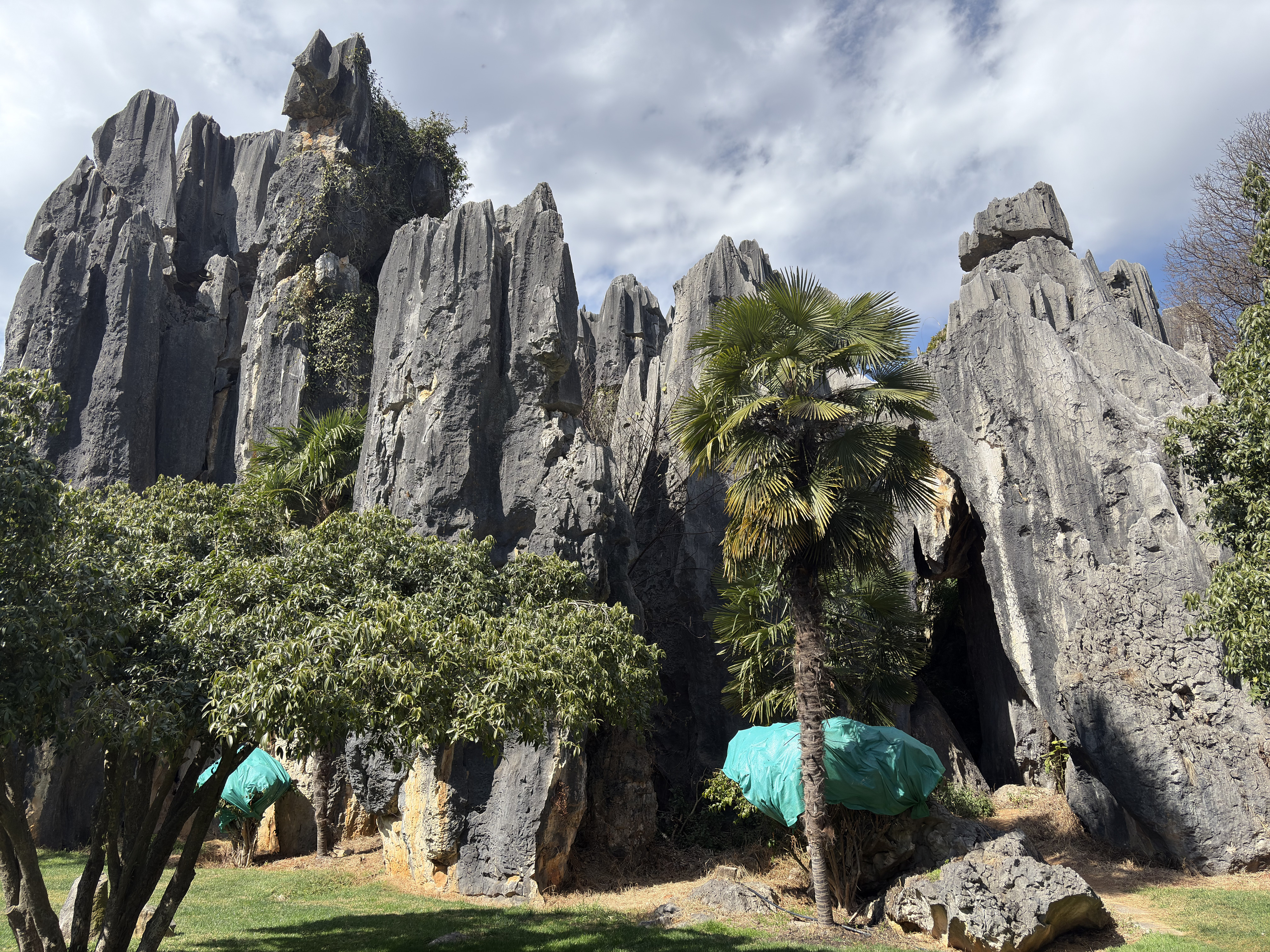 Picture China Shilin Stone Forest 2026-01 10 - Journey Shilin Stone Forest