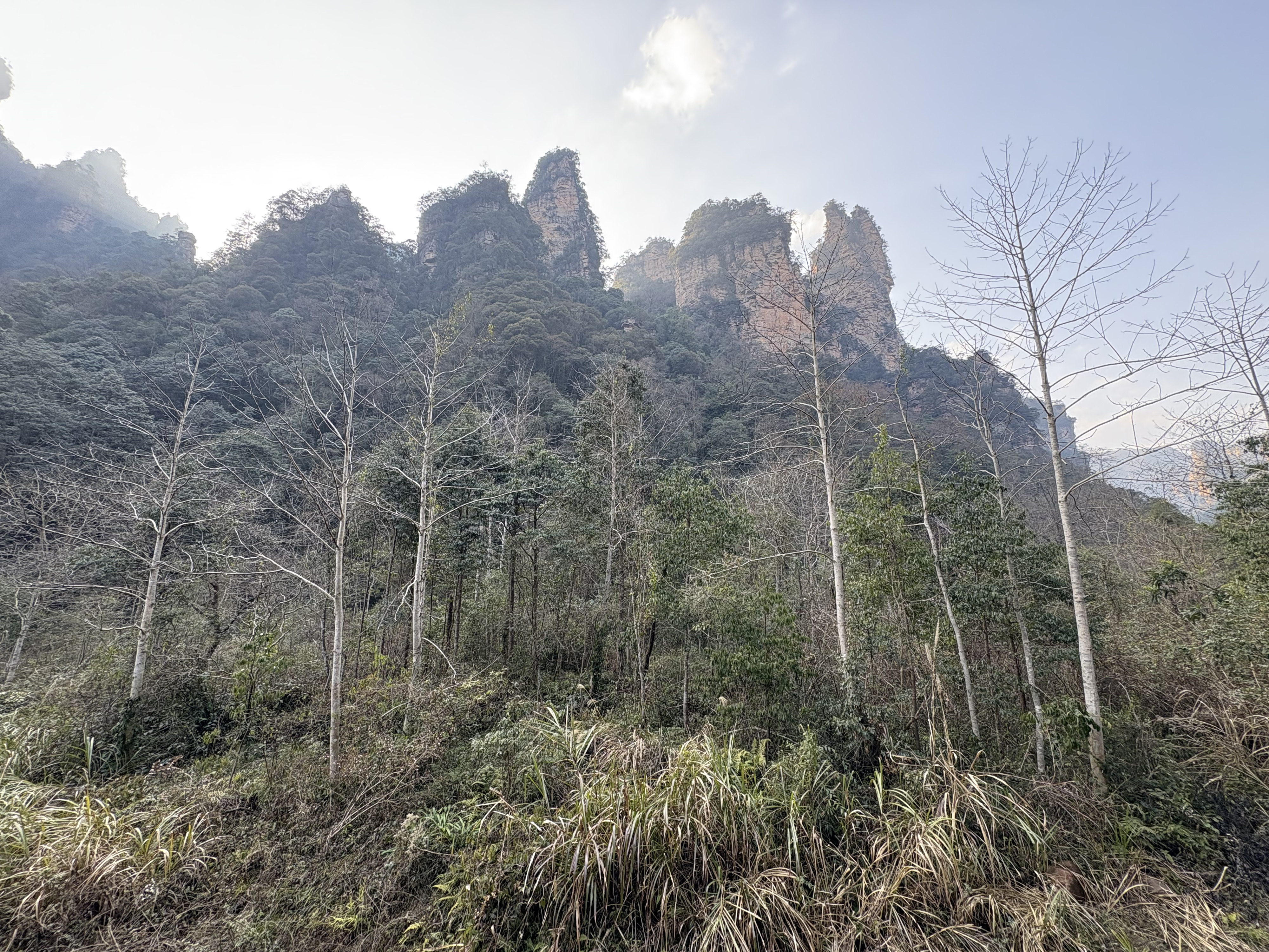 Picture China Zhangjiajie Tianzi Mountrain 2026-01 439 - Recreation Tianzi Mountrain