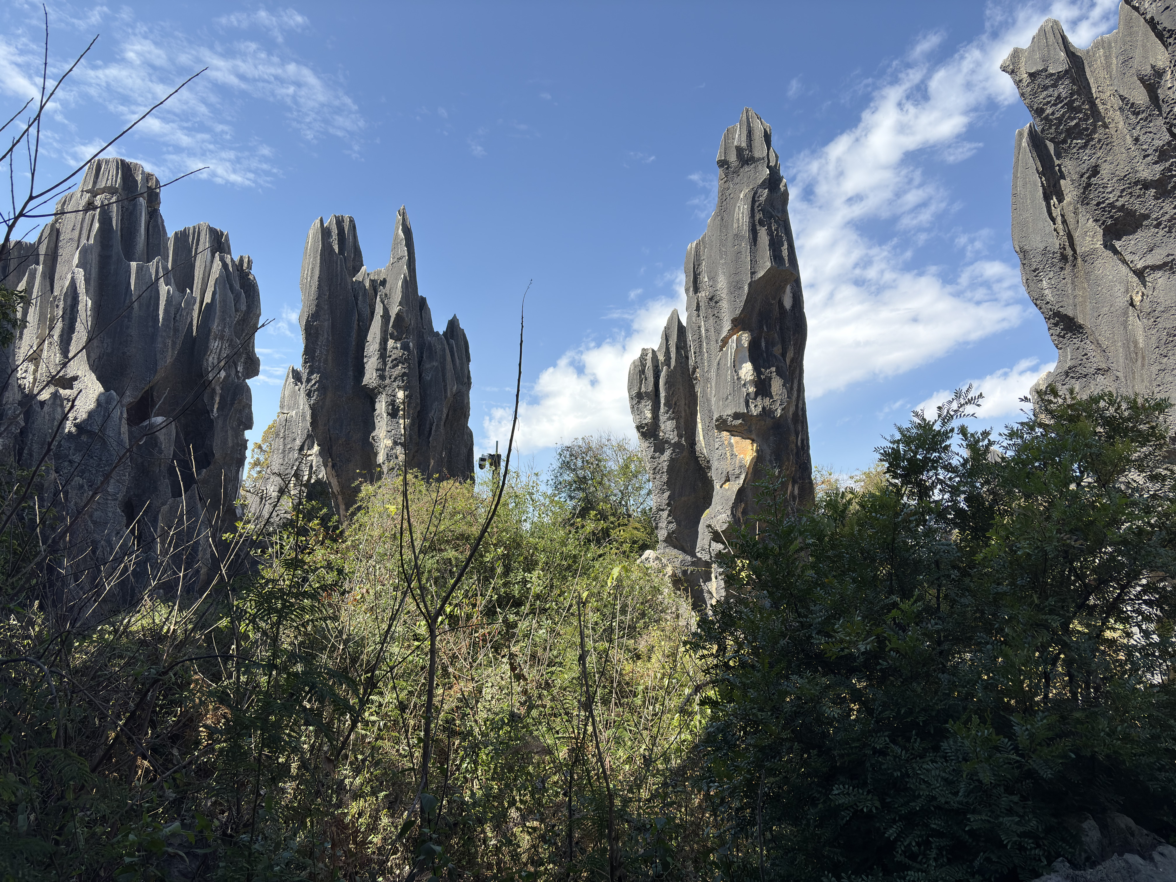 Picture China Shilin Stone Forest 2026-01 139 - Tours Shilin Stone Forest