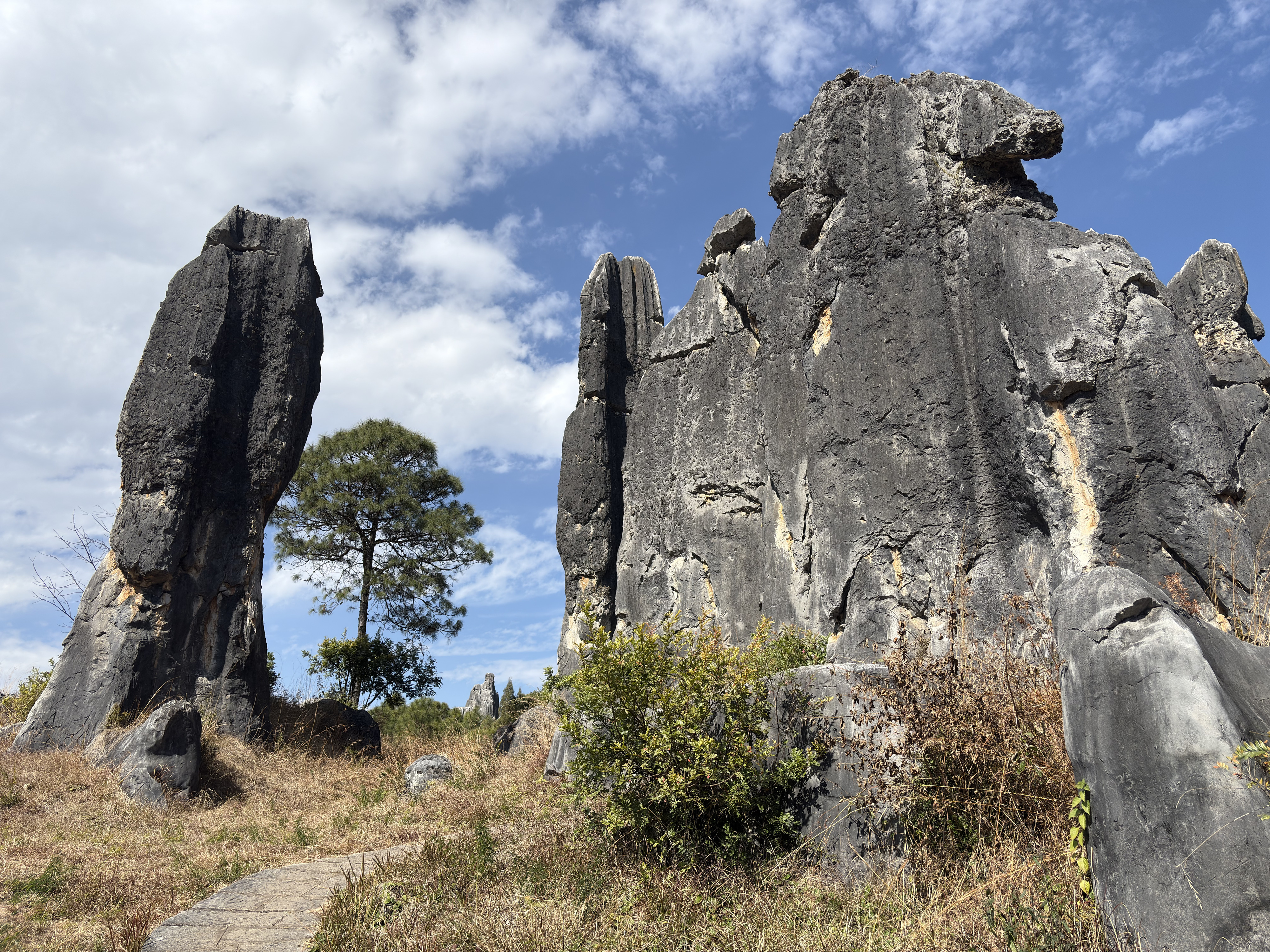 Picture China Shilin Stone Forest 2026-01 96 - Tours Shilin Stone Forest