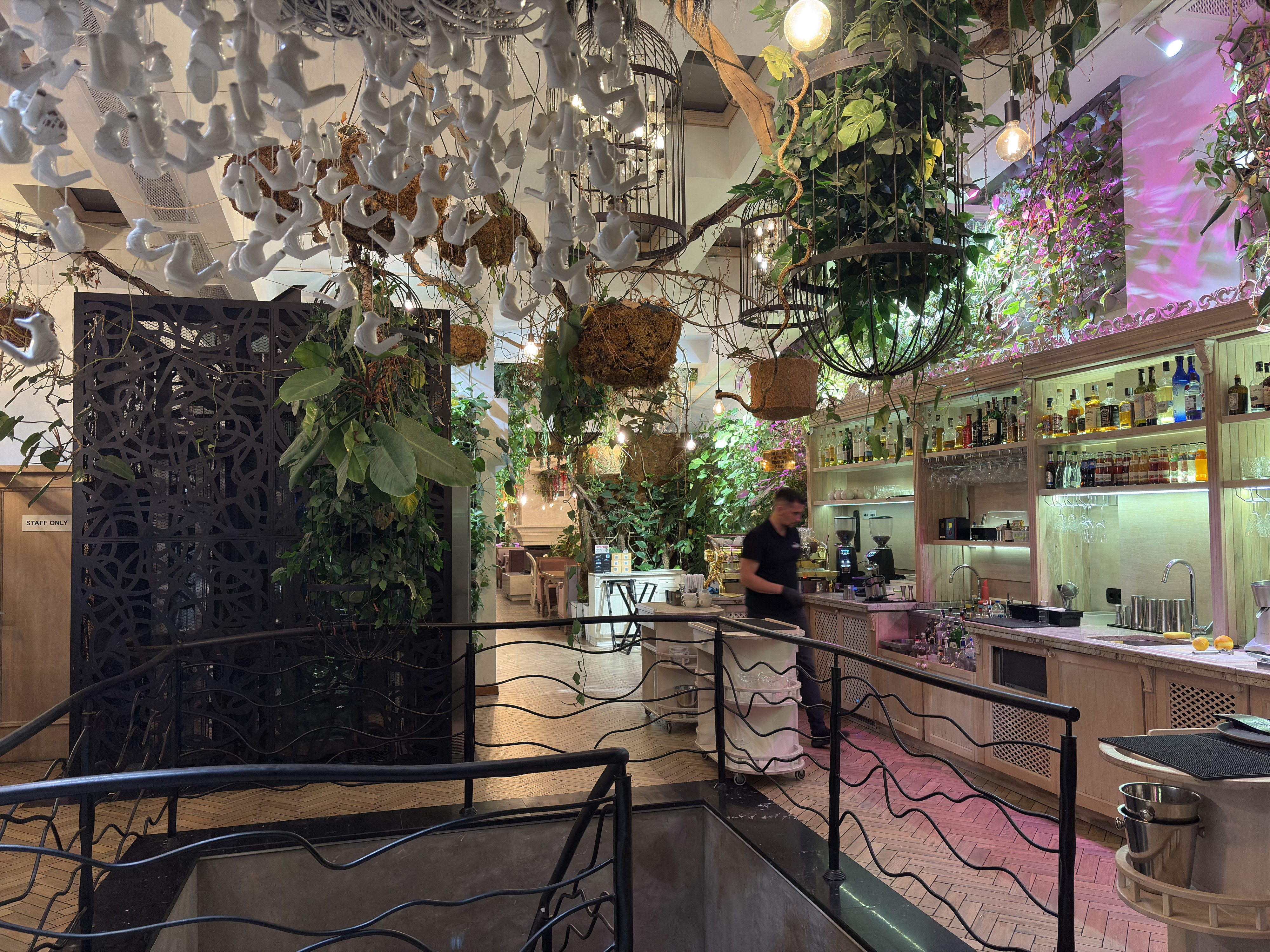 Picture Ukraine Lviv Restaurants 2024-10 102 - Discovery Restaurants