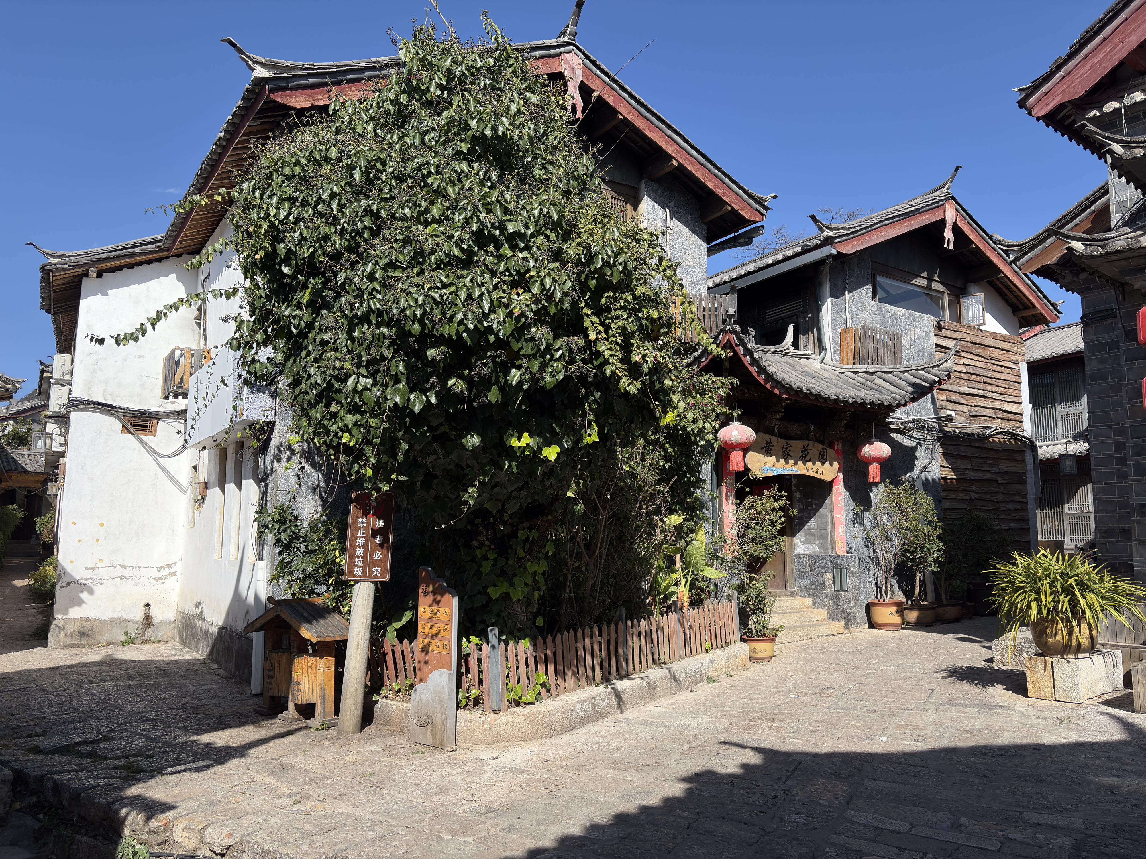 Picture China Lijiang 2026-01 632 - Recreation Lijiang
