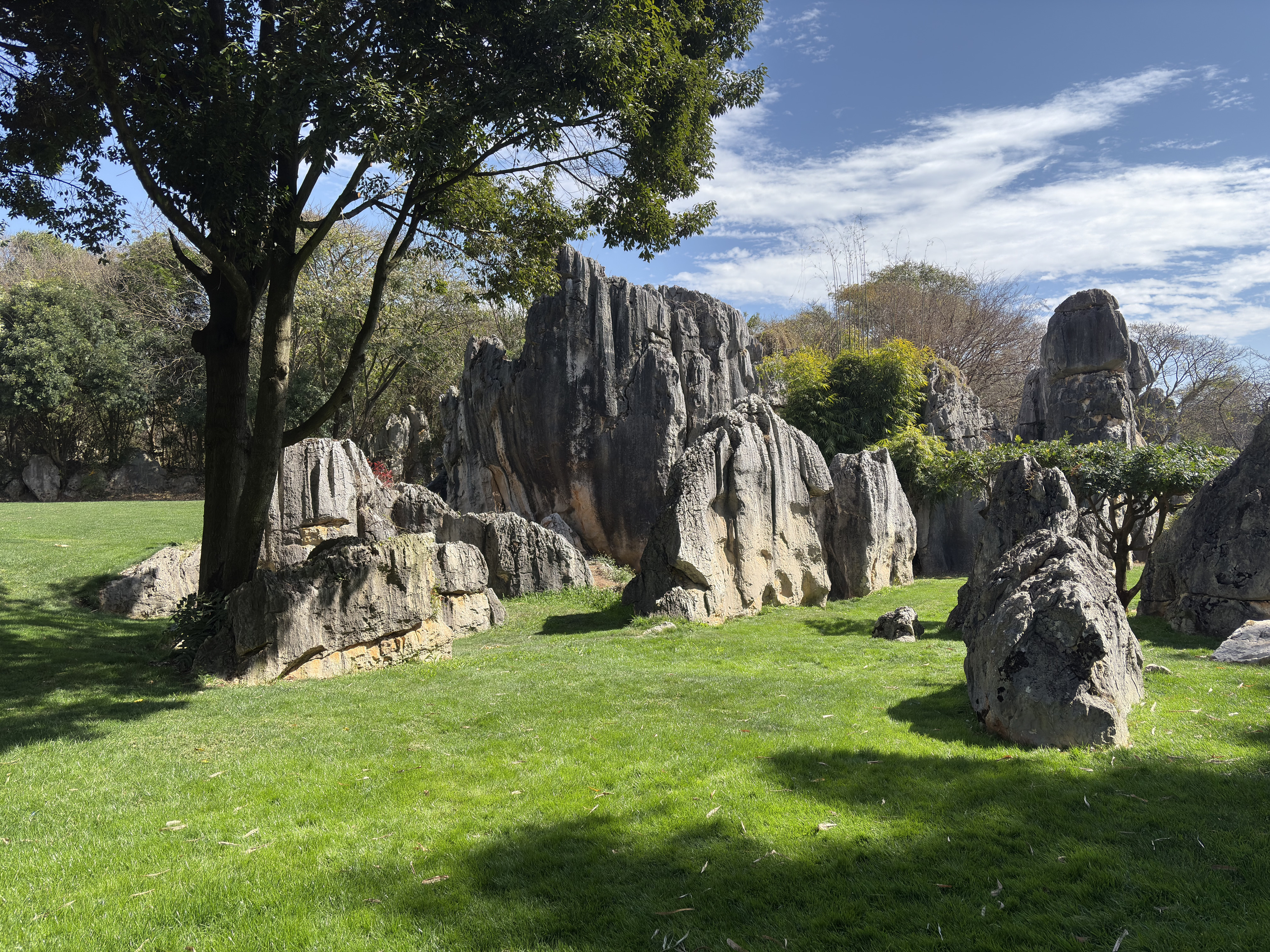 Picture China Shilin Stone Forest 2026-01 32 - Recreation Shilin Stone Forest