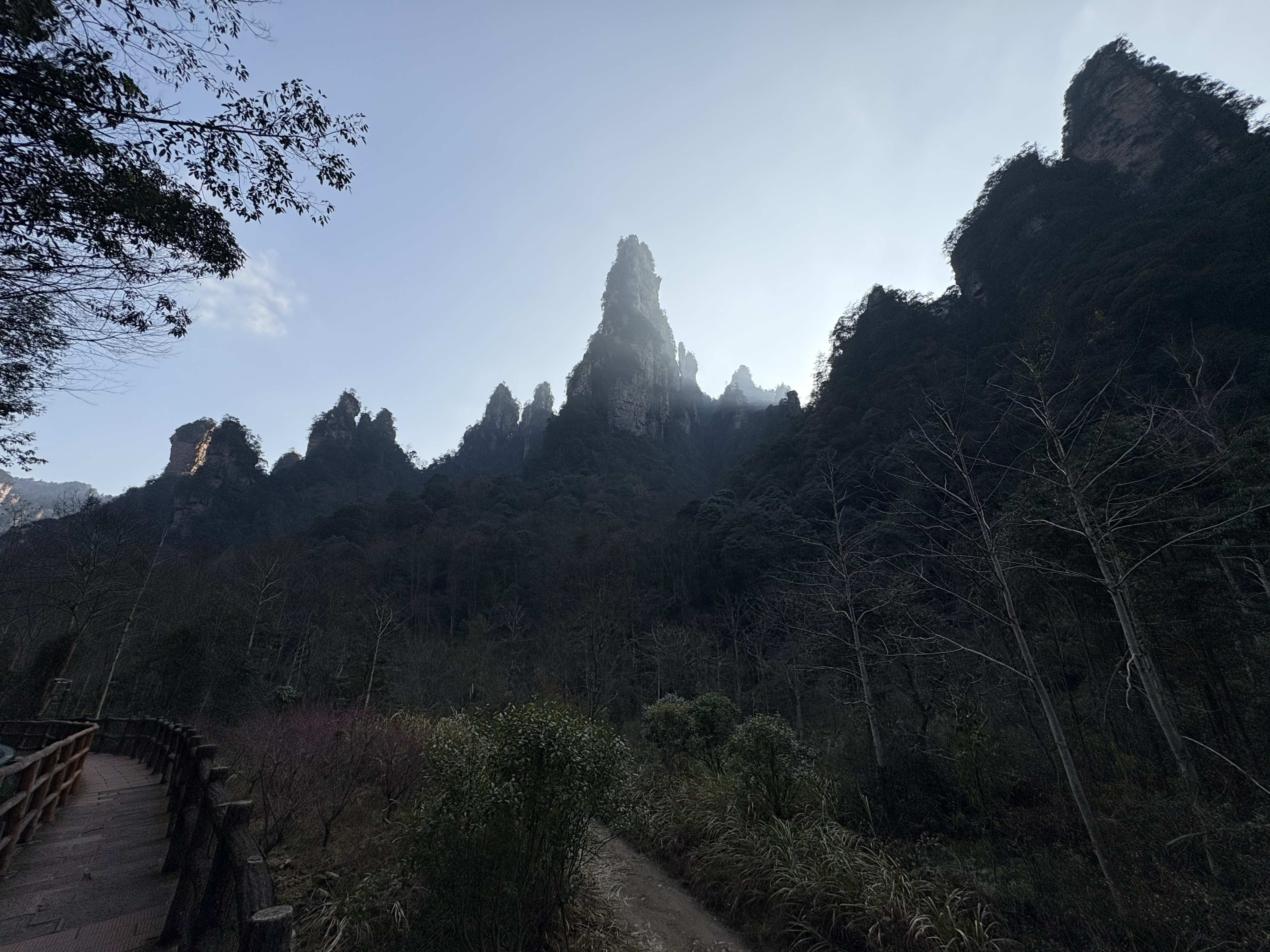 Picture China Zhangjiajie Tianzi Mountrain 2026-01 29 - Discovery Tianzi Mountrain