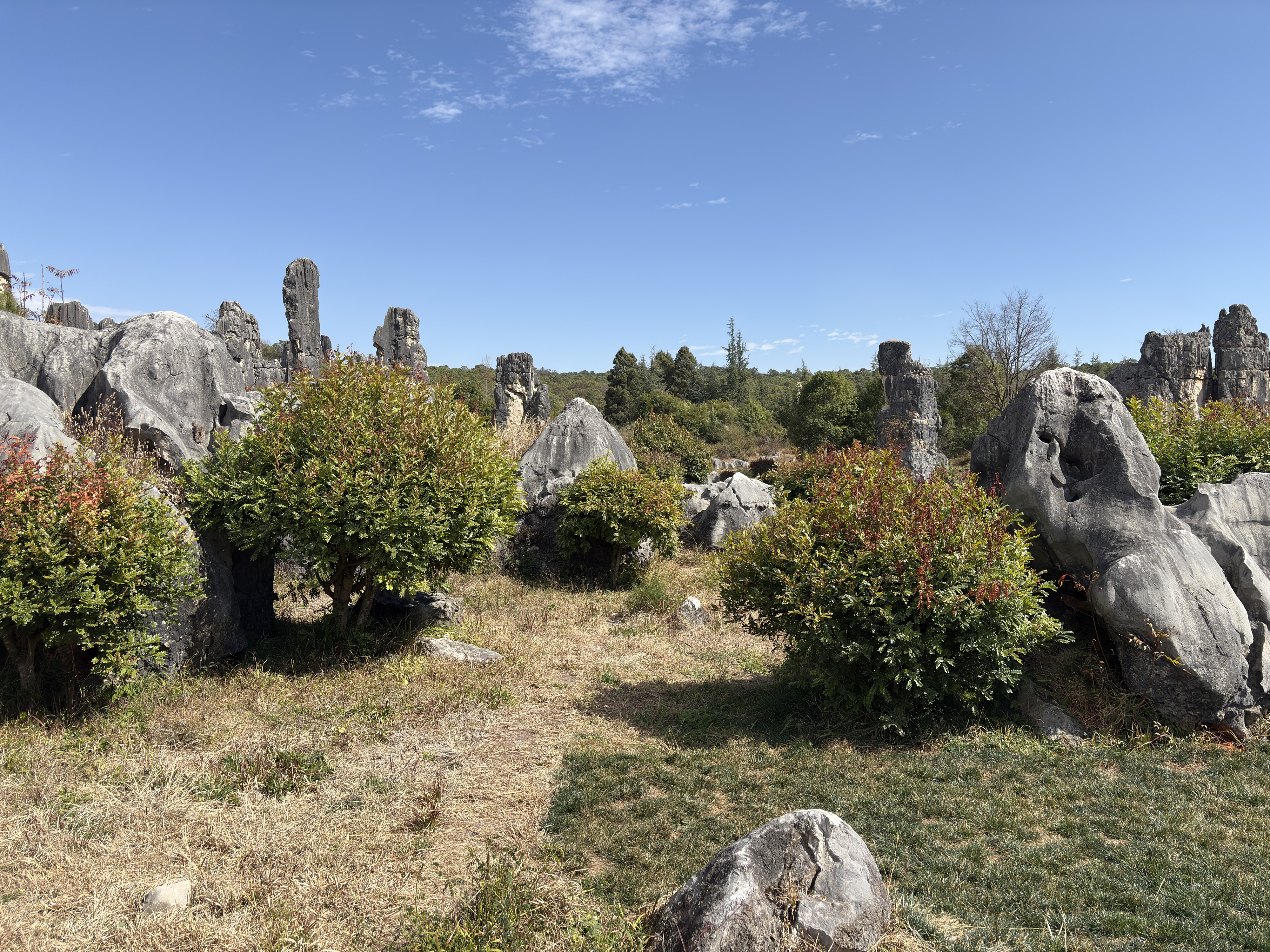 Picture China Shilin Stone Forest 2026-01 192 - Tour Shilin Stone Forest
