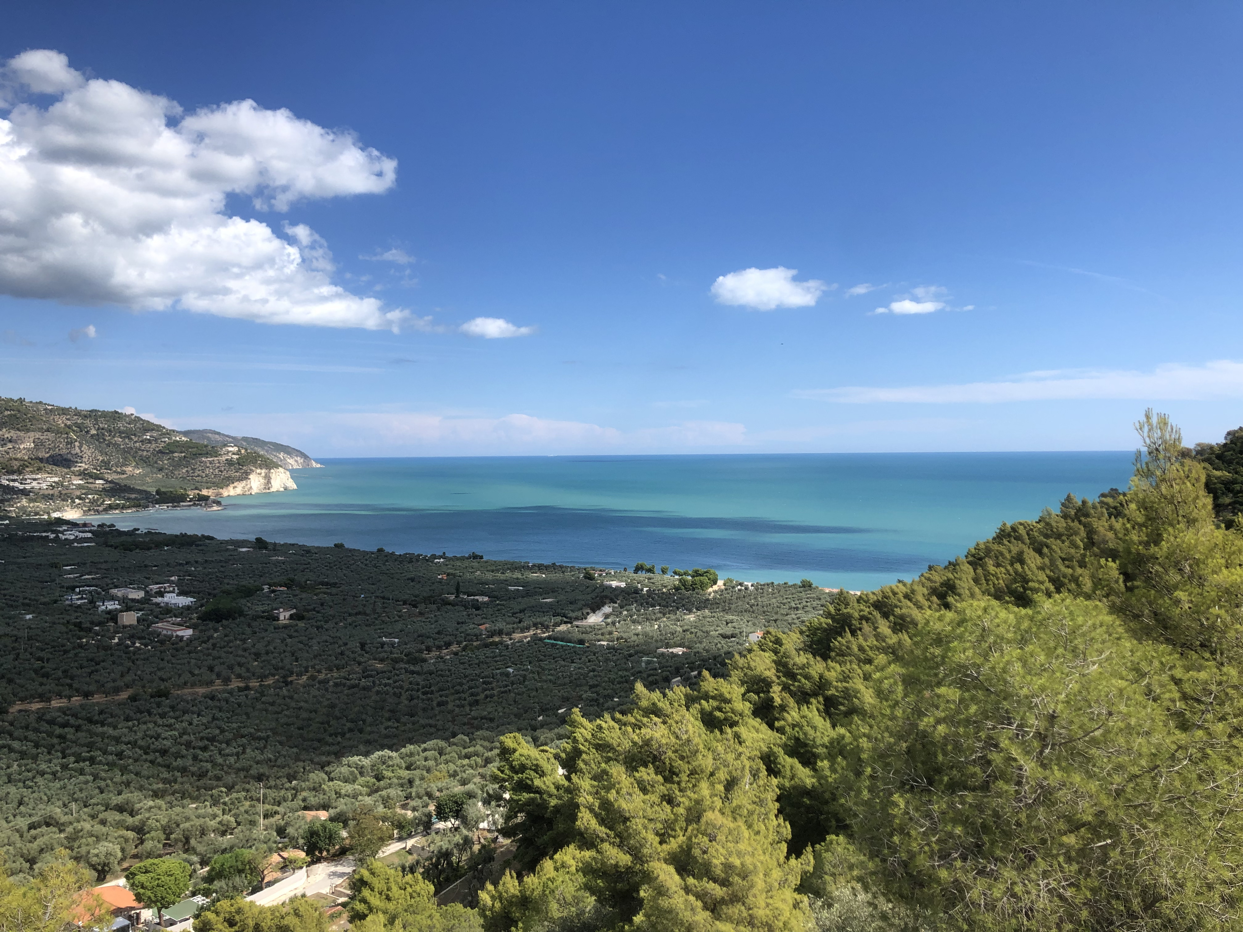 Picture Italy Gargano 2024-09 90 - Tours Gargano