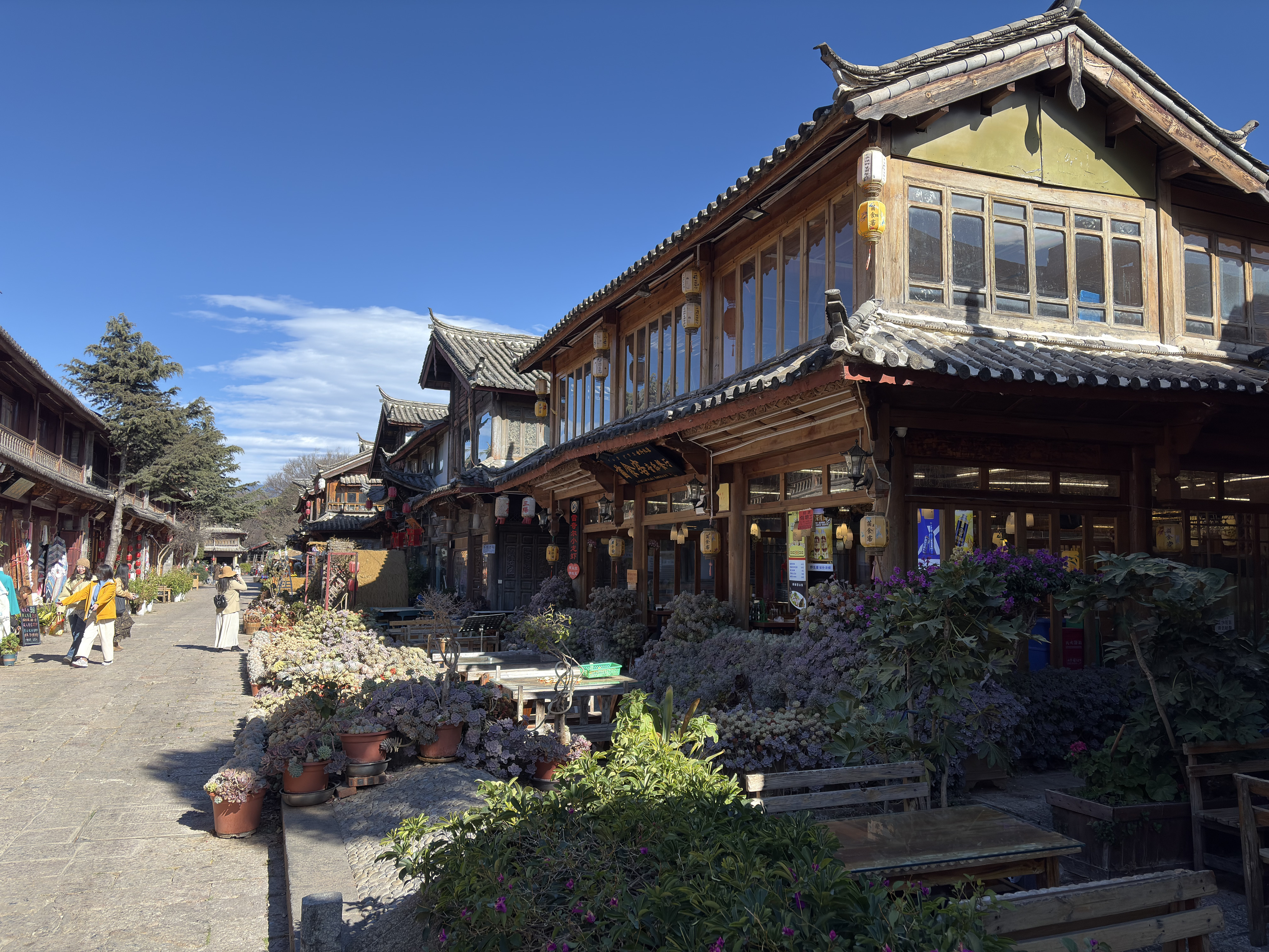 Picture China Lijiang 2026-01 734 - Center Lijiang