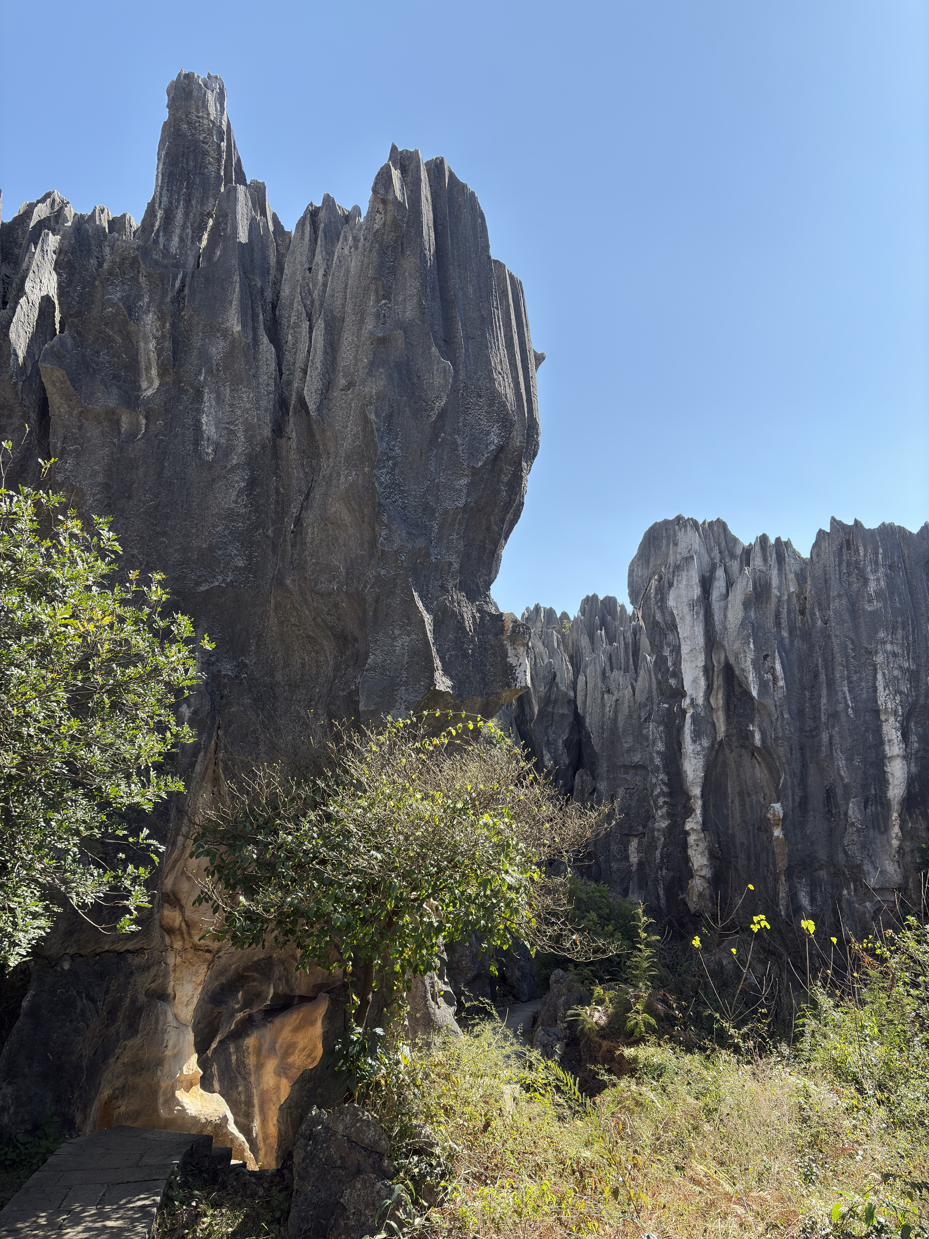 Picture China Shilin Stone Forest 2026-01 228 - Journey Shilin Stone Forest