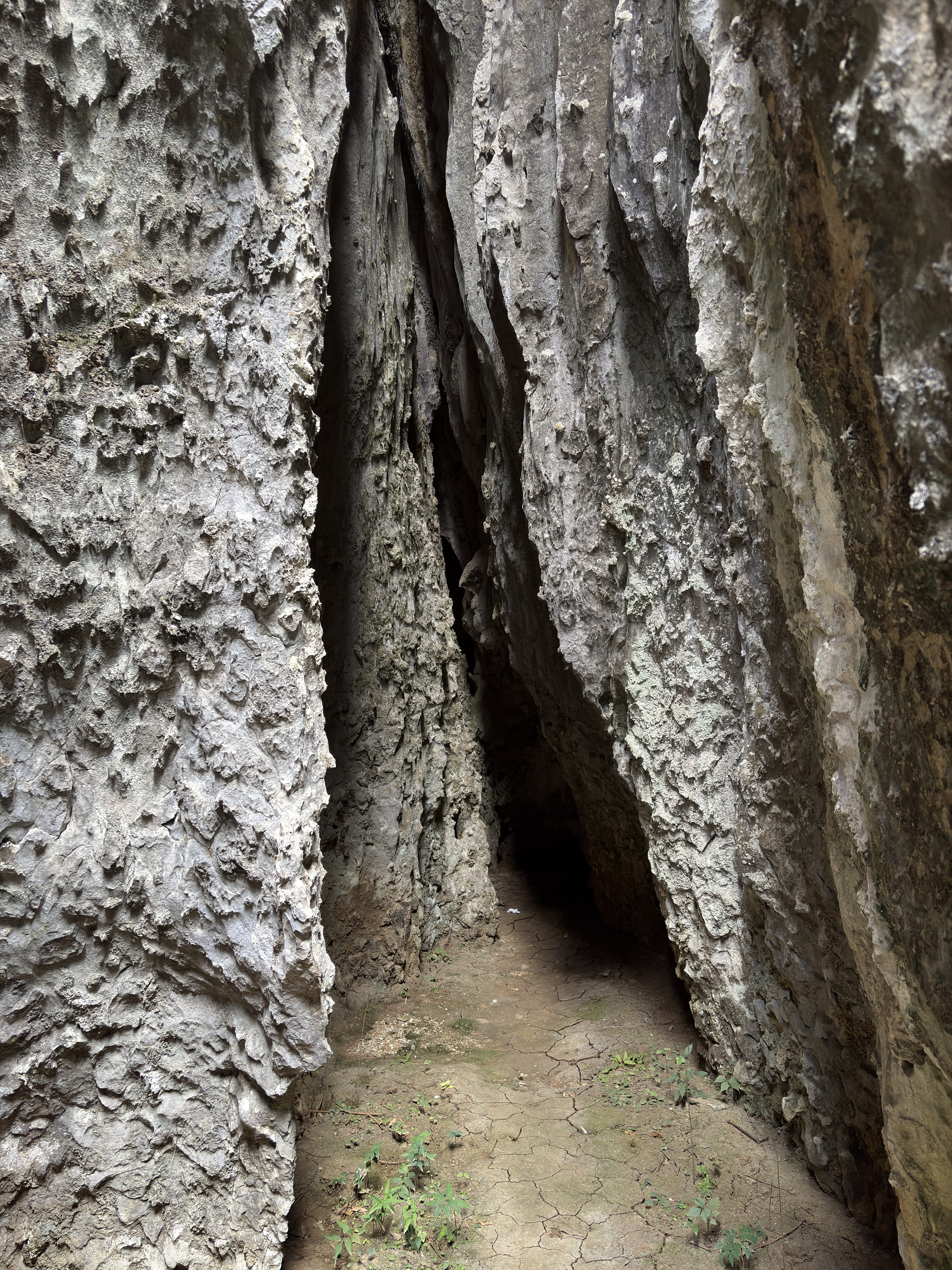 Picture China Shilin Stone Forest 2026-01 324 - Around Shilin Stone Forest