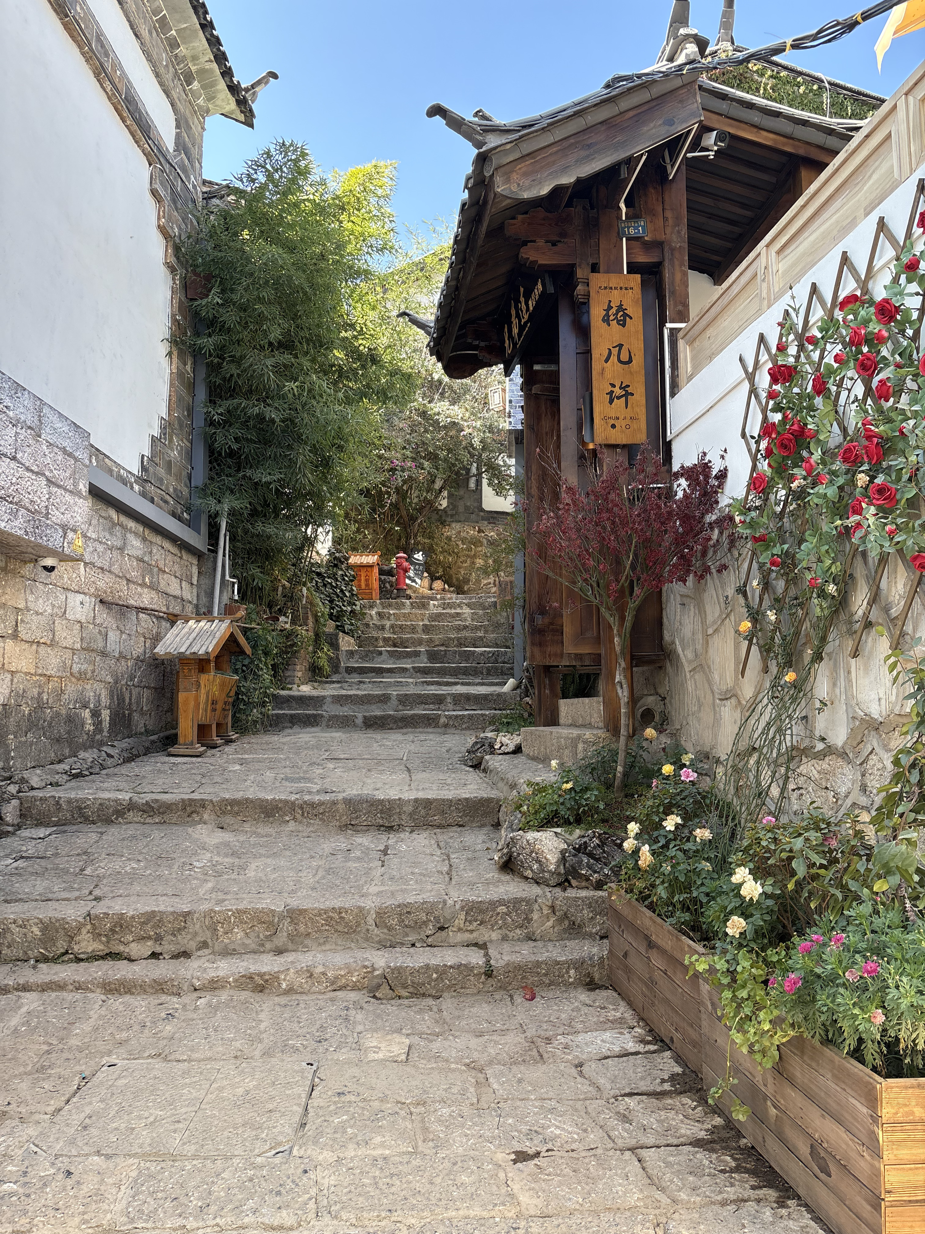 Picture China Lijiang 2026-01 787 - Journey Lijiang