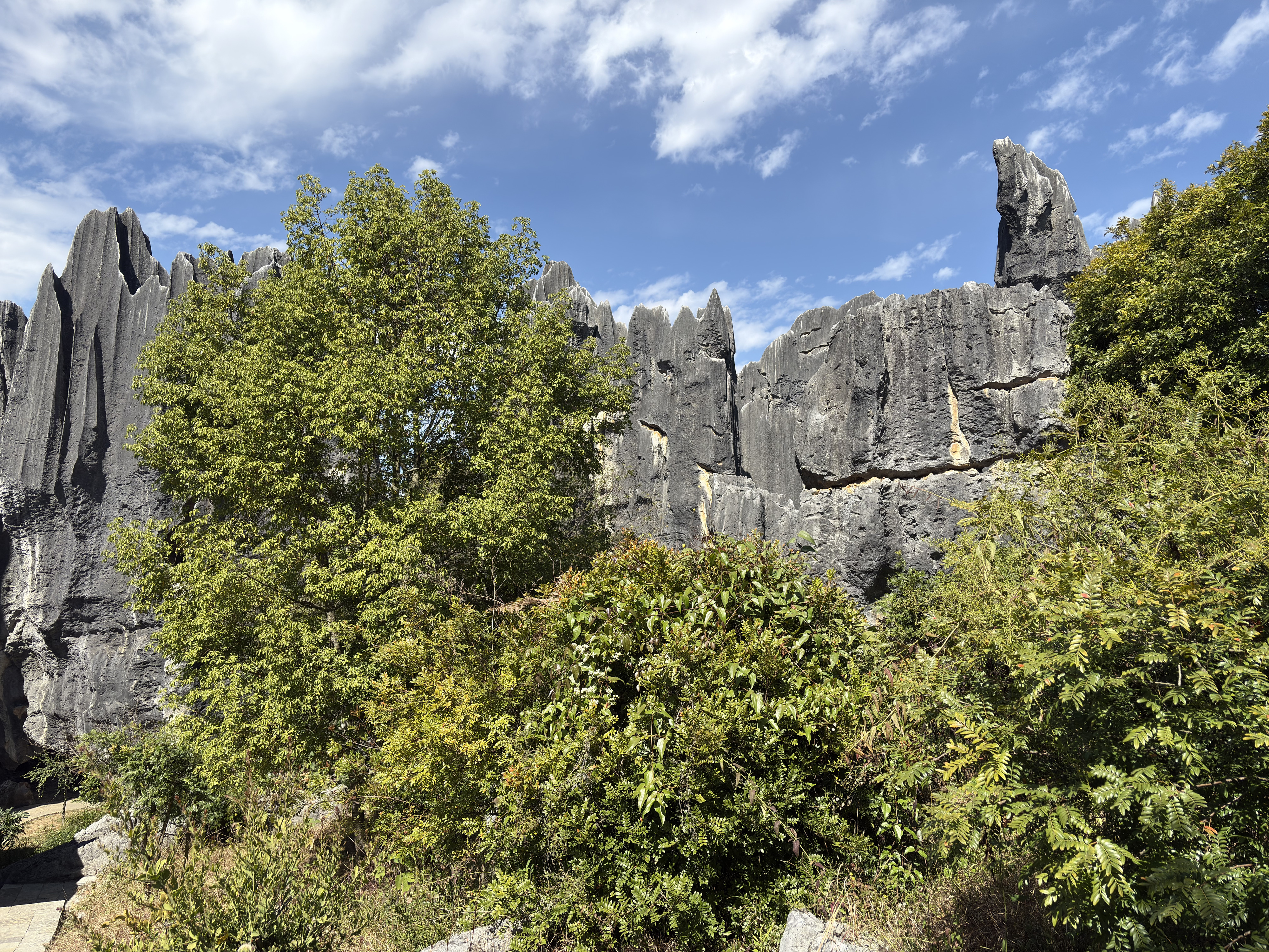 Picture China Shilin Stone Forest 2026-01 391 - Discovery Shilin Stone Forest