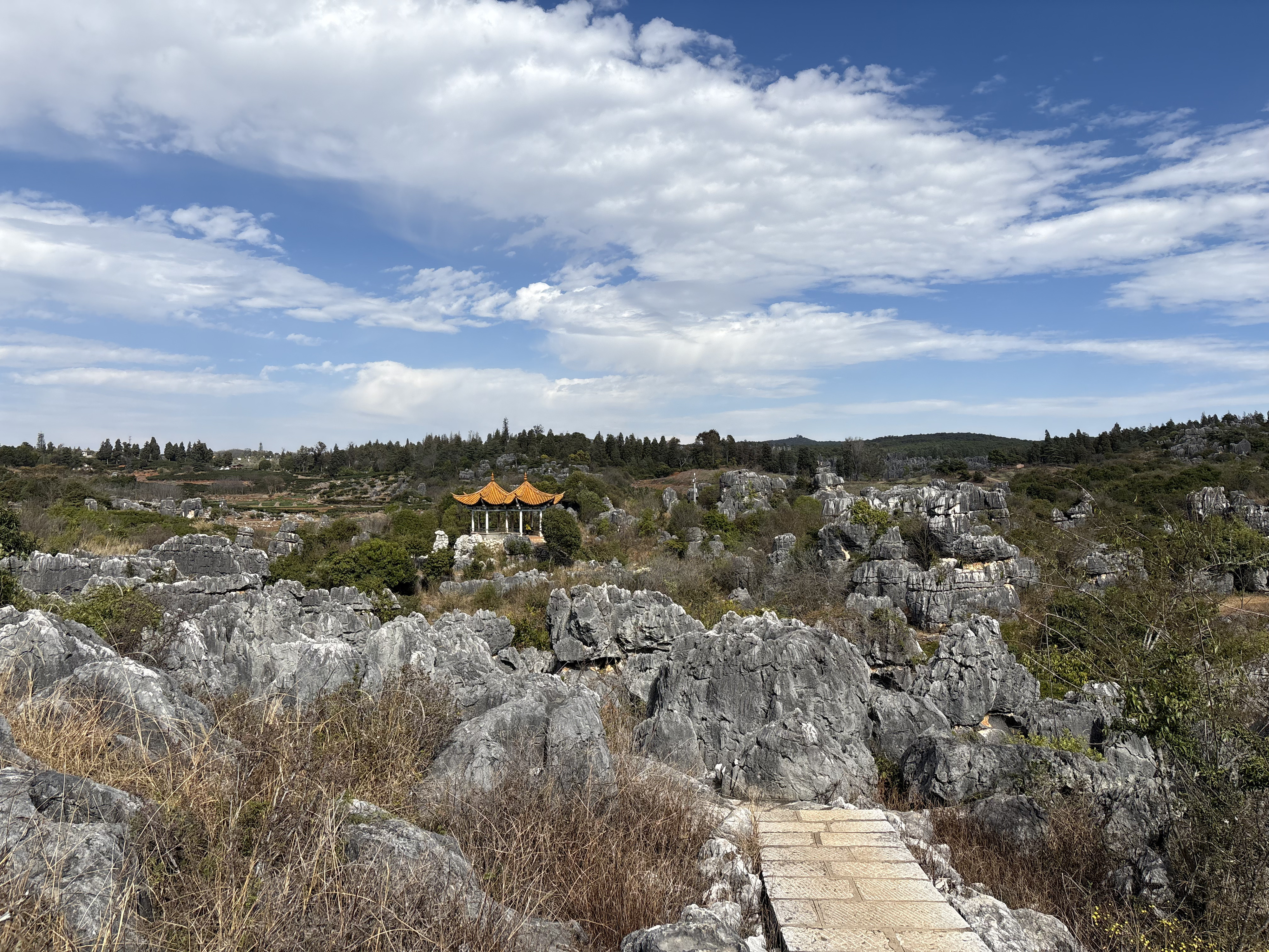 Picture China Shilin Stone Forest 2026-01 175 - Recreation Shilin Stone Forest