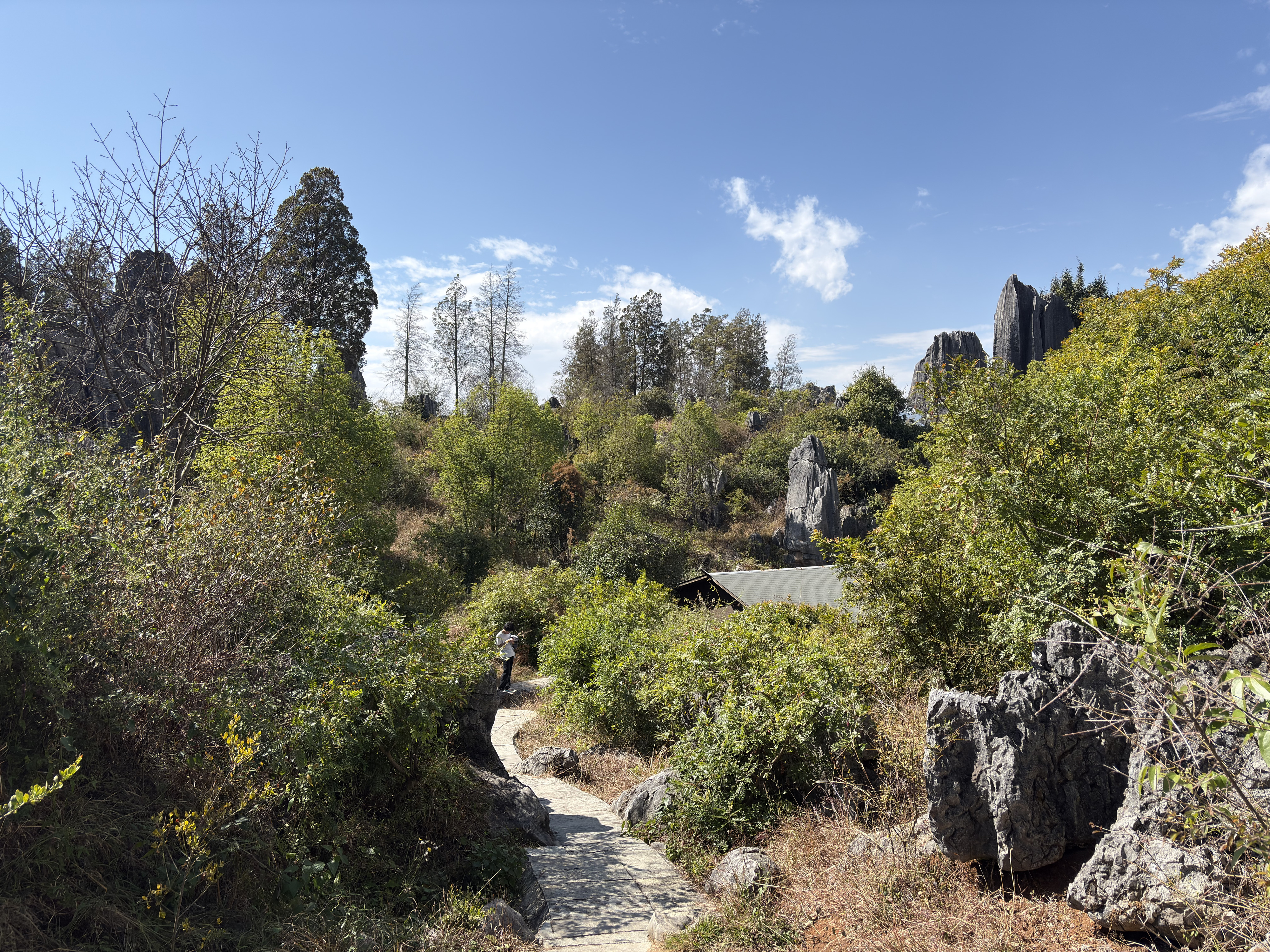 Picture China Shilin Stone Forest 2026-01 305 - Around Shilin Stone Forest