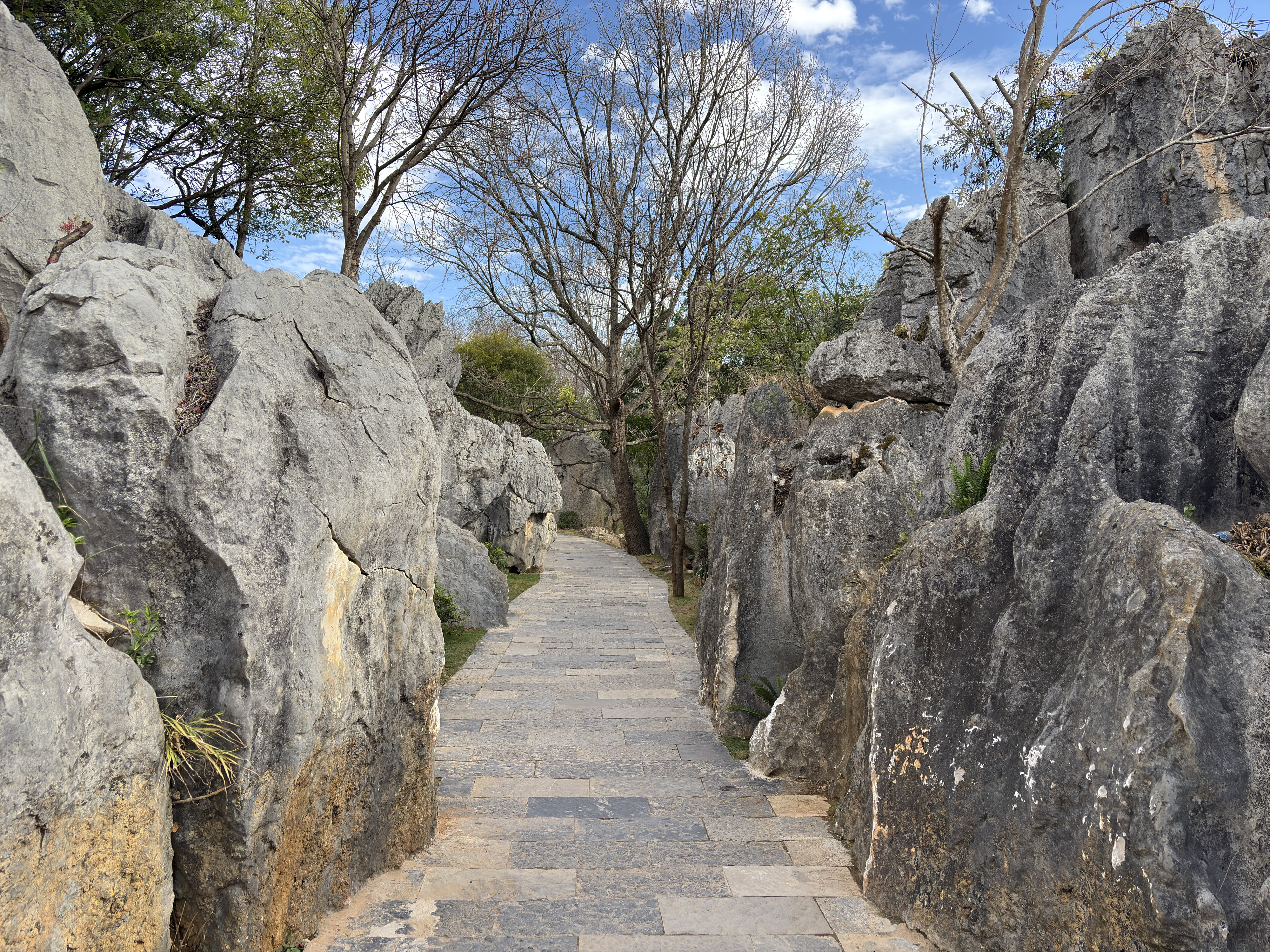 Picture China Shilin Stone Forest 2026-01 313 - Tour Shilin Stone Forest