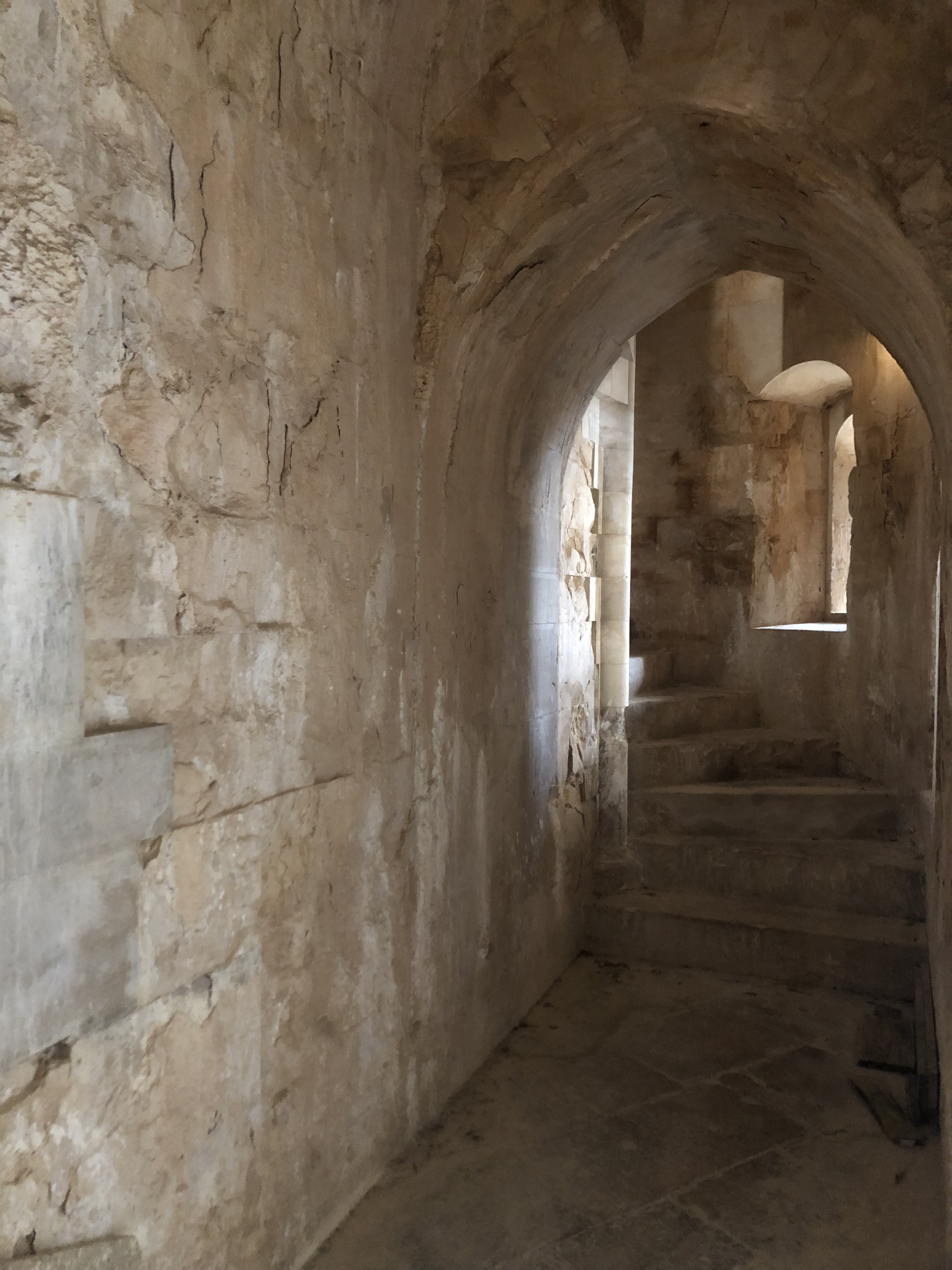 Picture Italy Castel del monte 2024-09 67 - Around Castel del monte