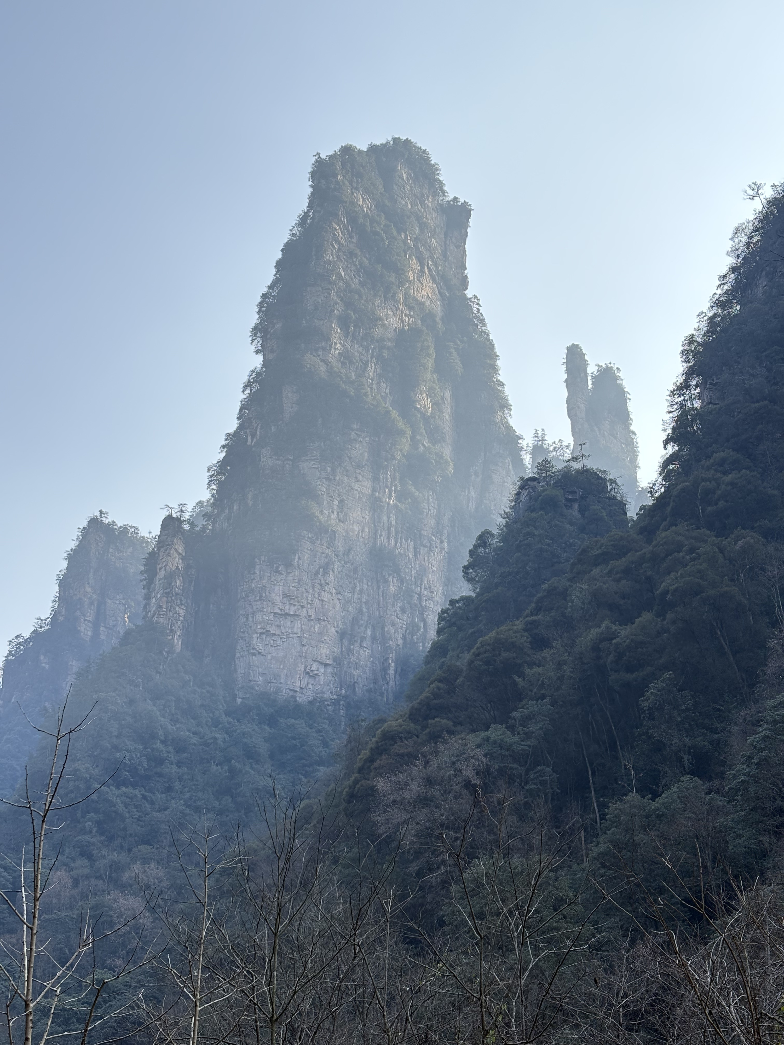 Picture China Zhangjiajie Tianzi Mountrain 2026-01 180 - Journey Tianzi Mountrain