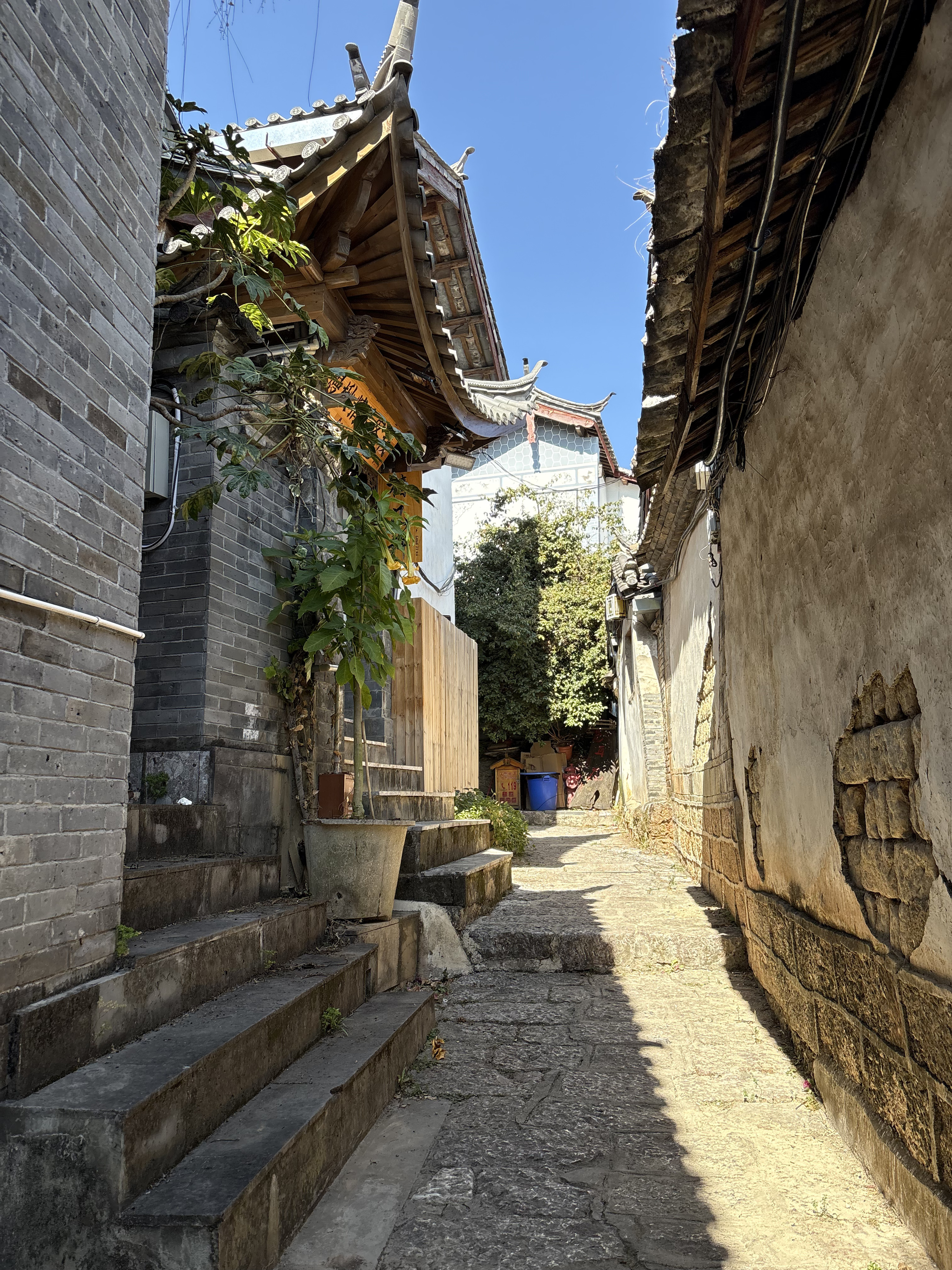 Picture China Lijiang 2026-01 89 - Journey Lijiang
