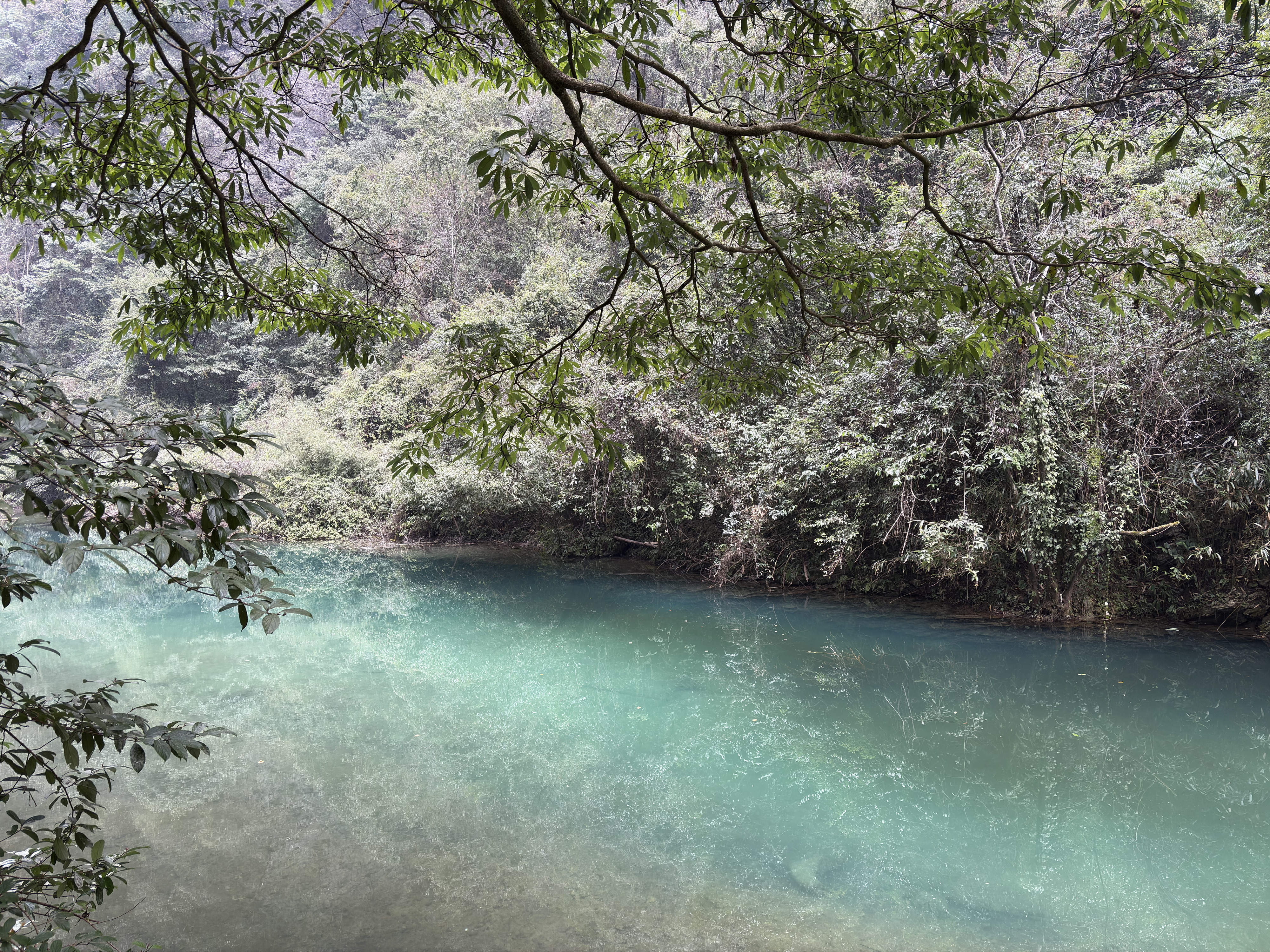 Picture China Zhangjiajie Grand Canion 2026-01 25 - Tour Grand Canion